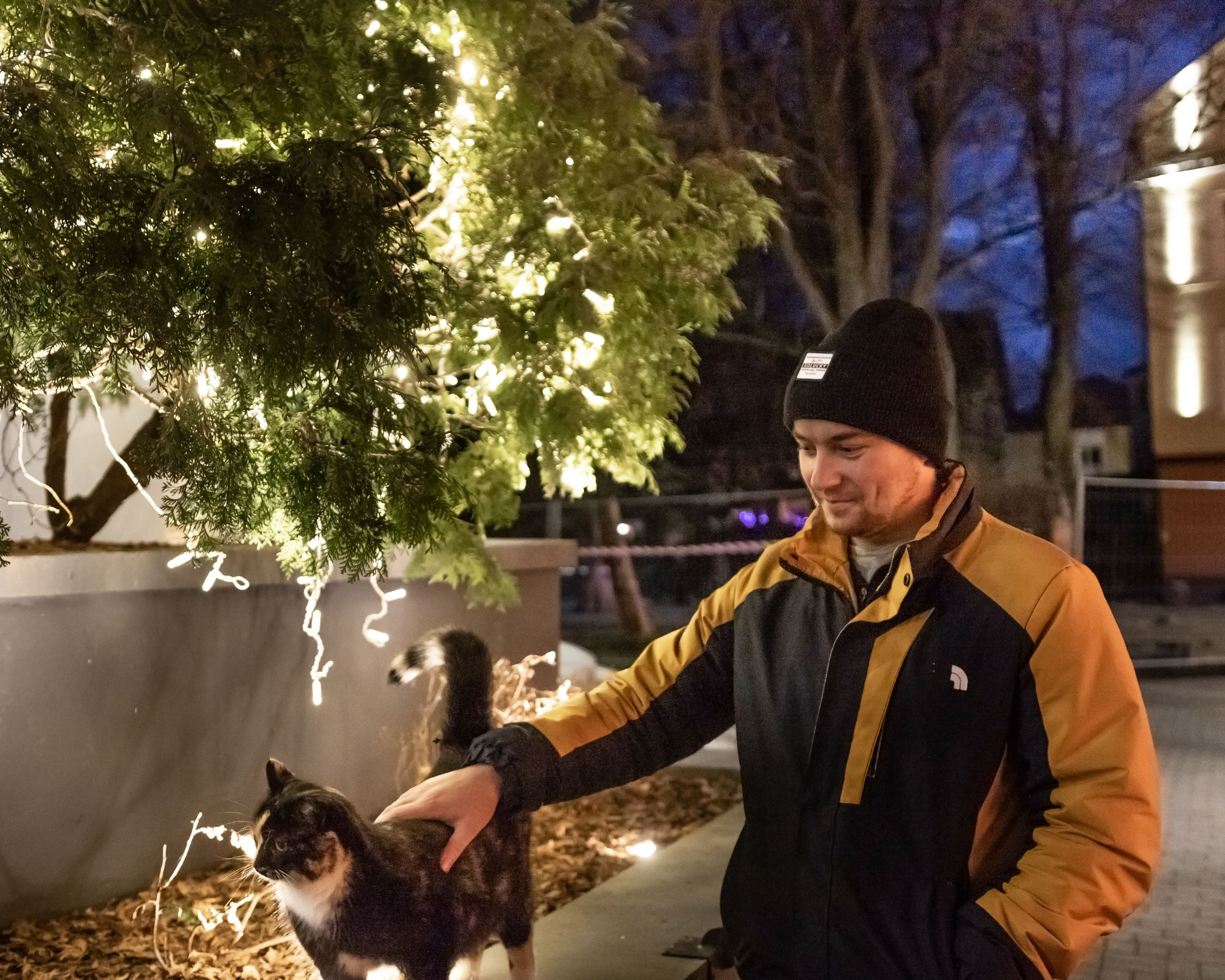 Скоро новый год!. Фотограф Зеленоградск Лиана Сопина
