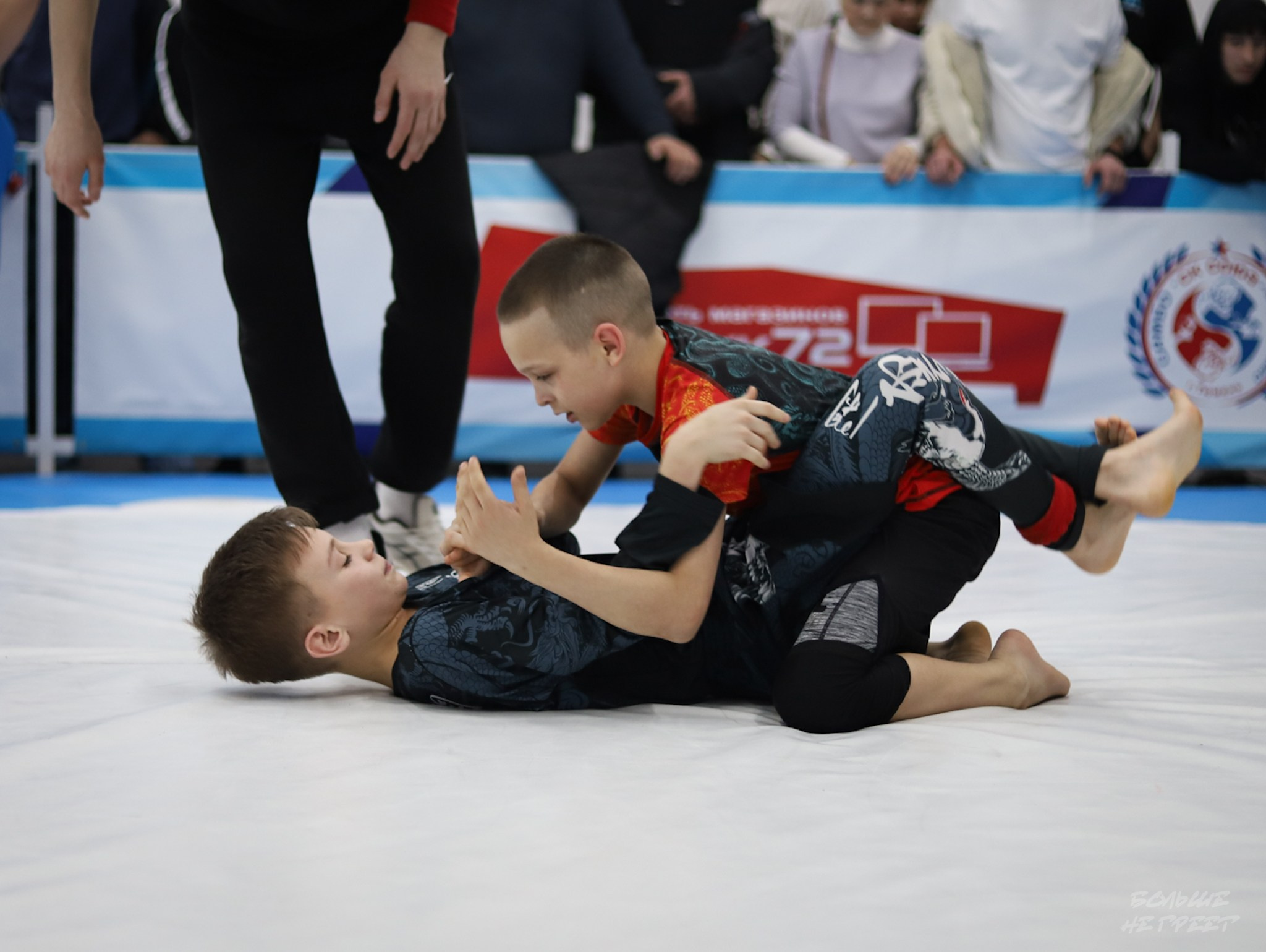 GORILLA PRIDE CUP. Больше не греет