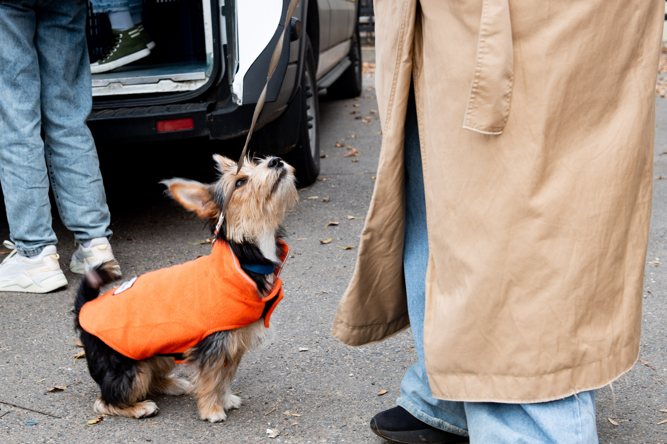 Съемка турнира по настольному теннису в НКО «Ночлежка». Фотограф в Москве. Шахабудин