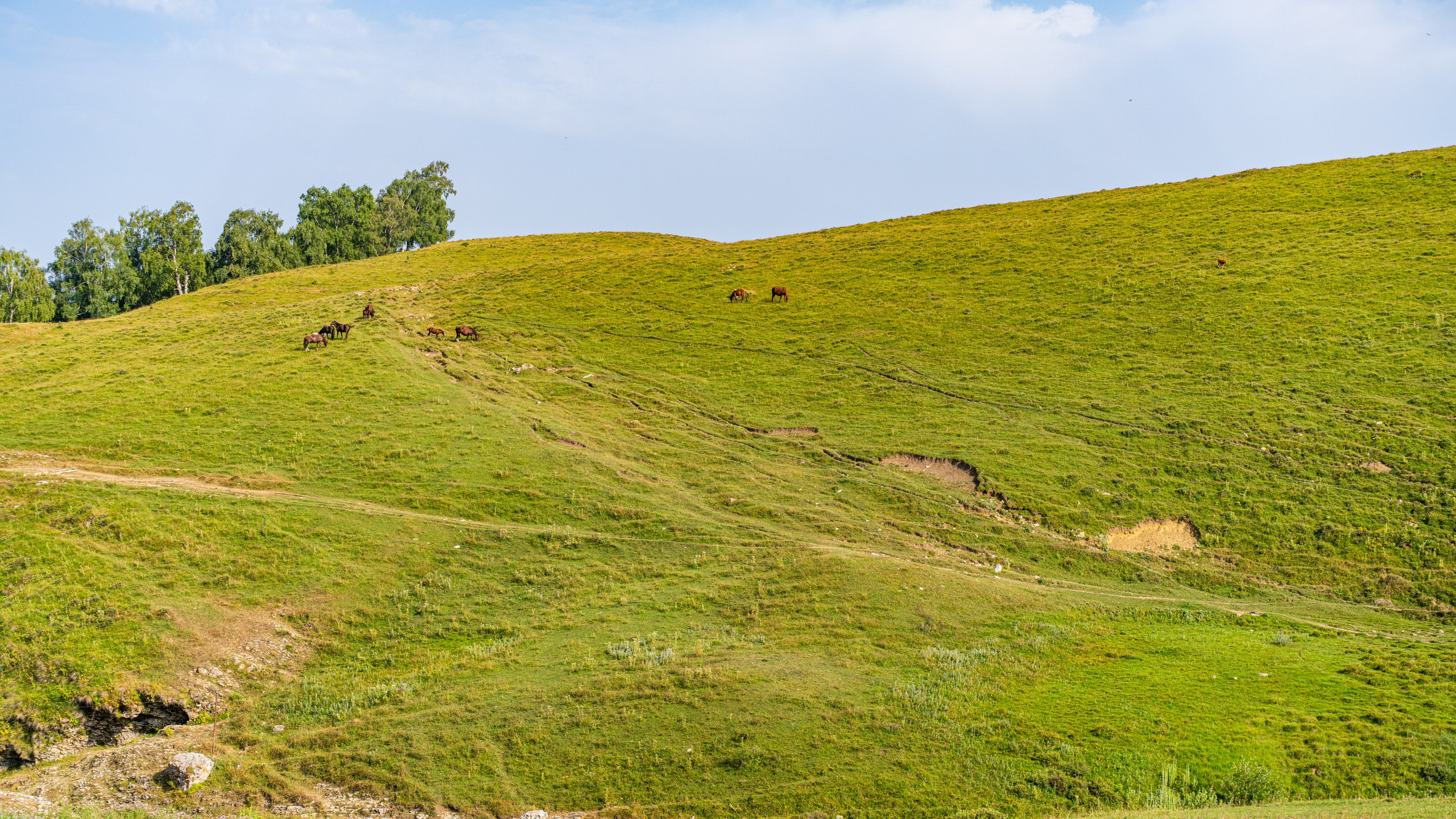 Дагестан. Фотограф в Москве. Шахабудин