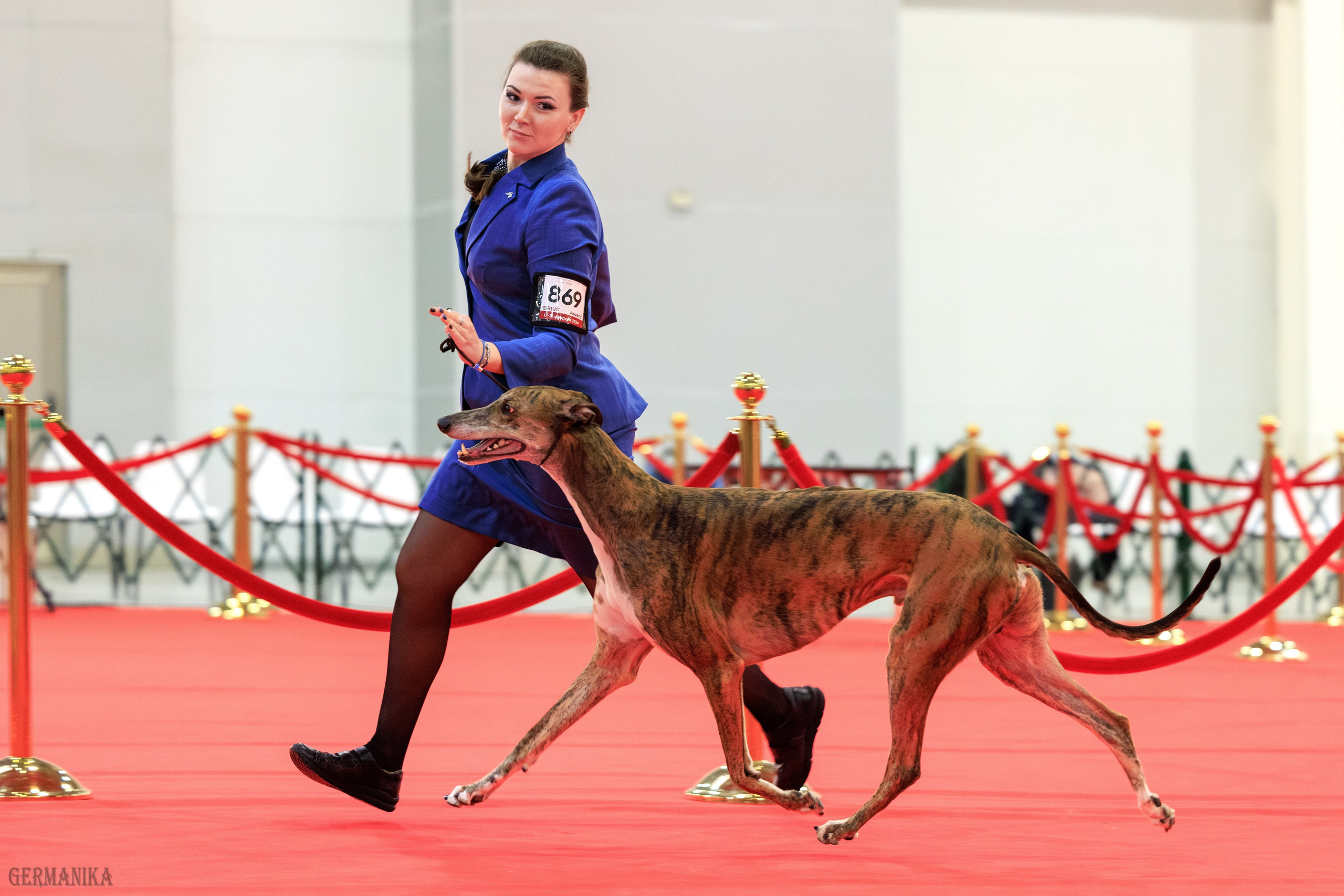 Лучшие Собаки России 17-18.02.2024. Фотограф-анималист Юлия Германика