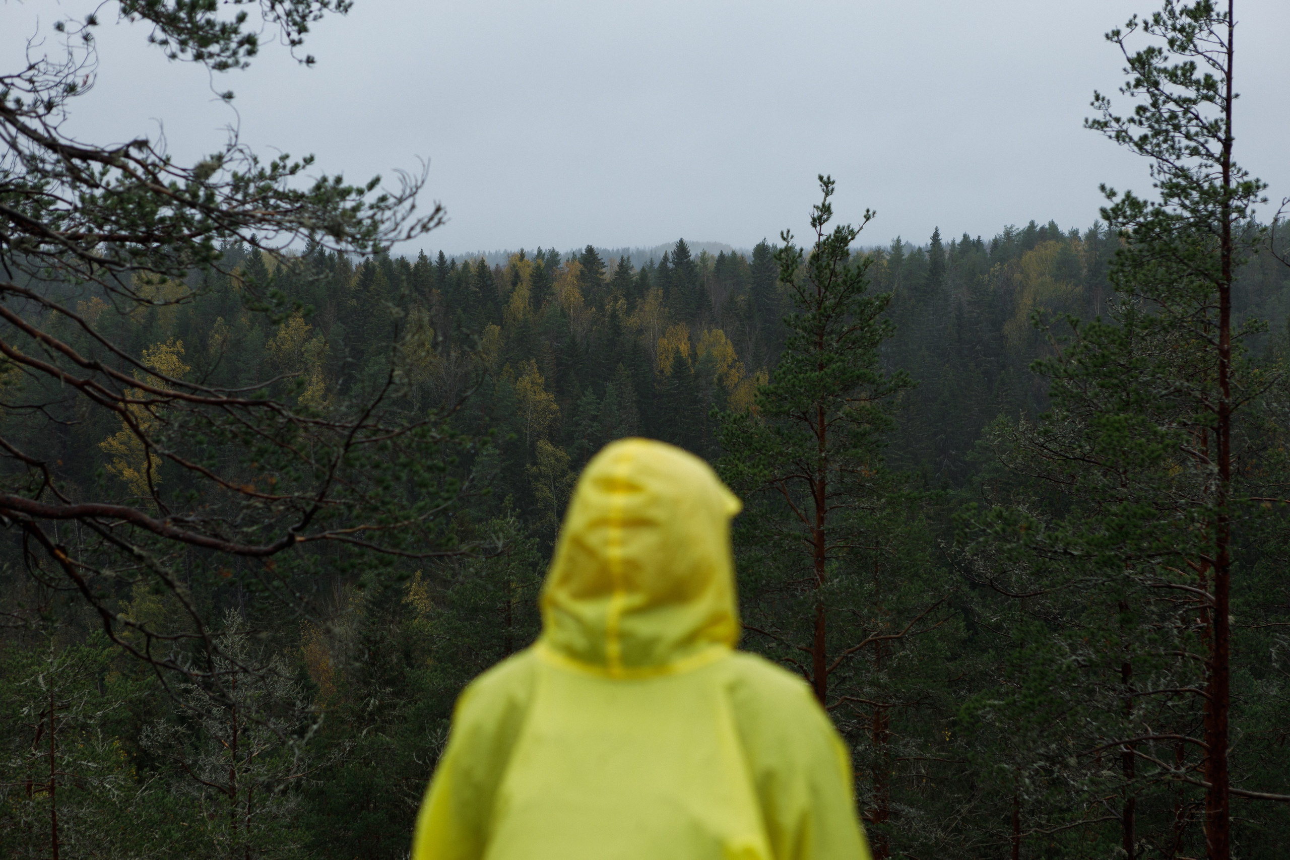 RGO media project “Karelia”. Commercial photographer | Anton Ermakov