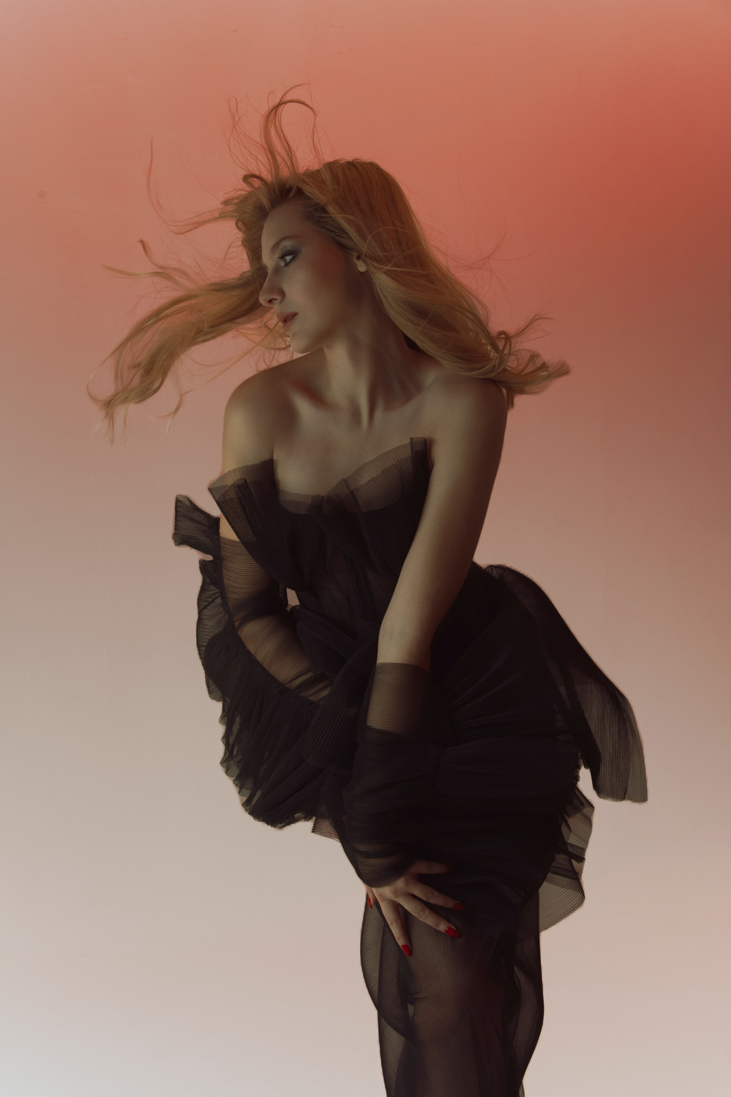 Лепестки. Фотограф Anita Mivchas