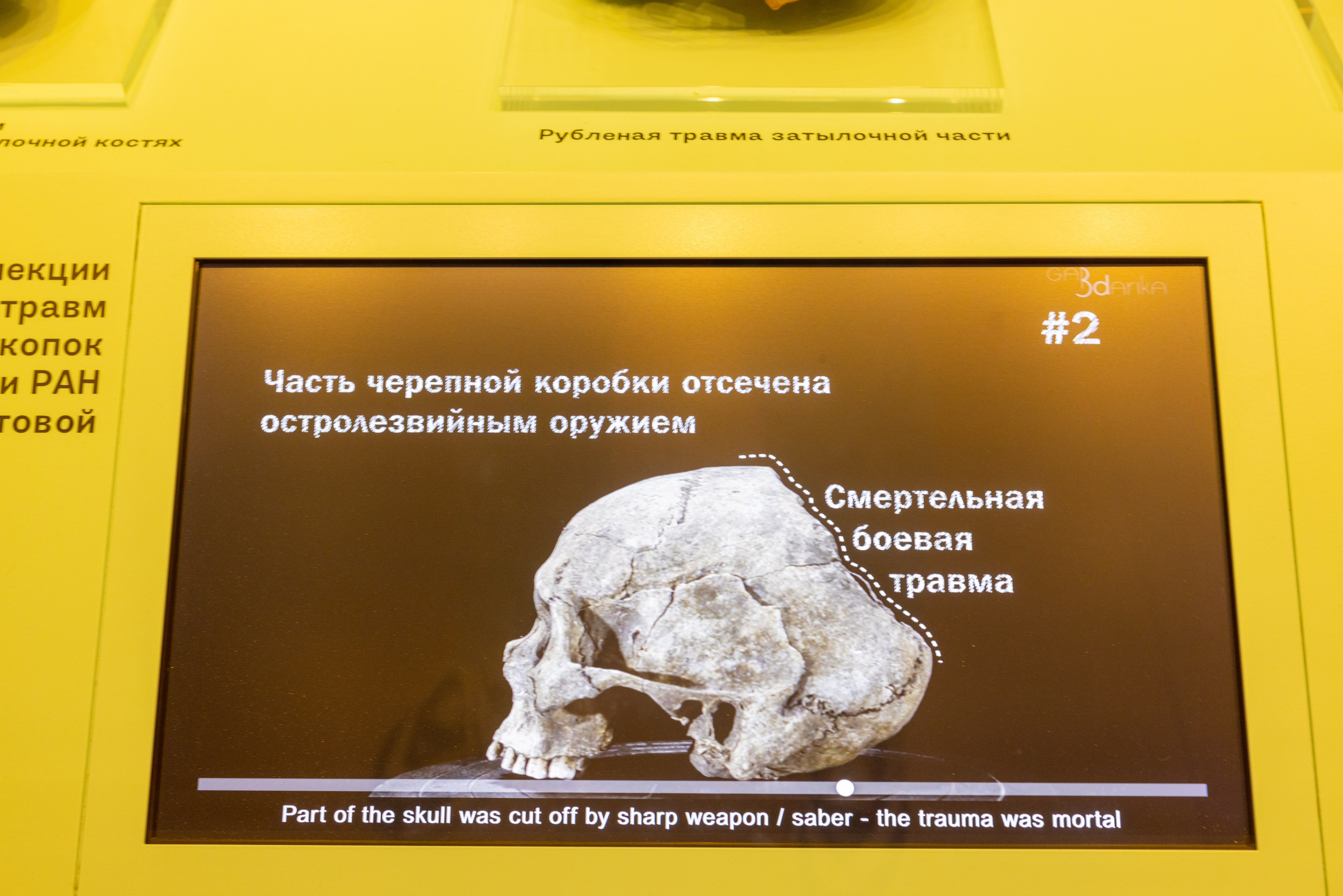 Поездка на поле Кулеково. Фотограф в Туле Крупский АнДРей. Фотостудия «КАДР71» в Туле