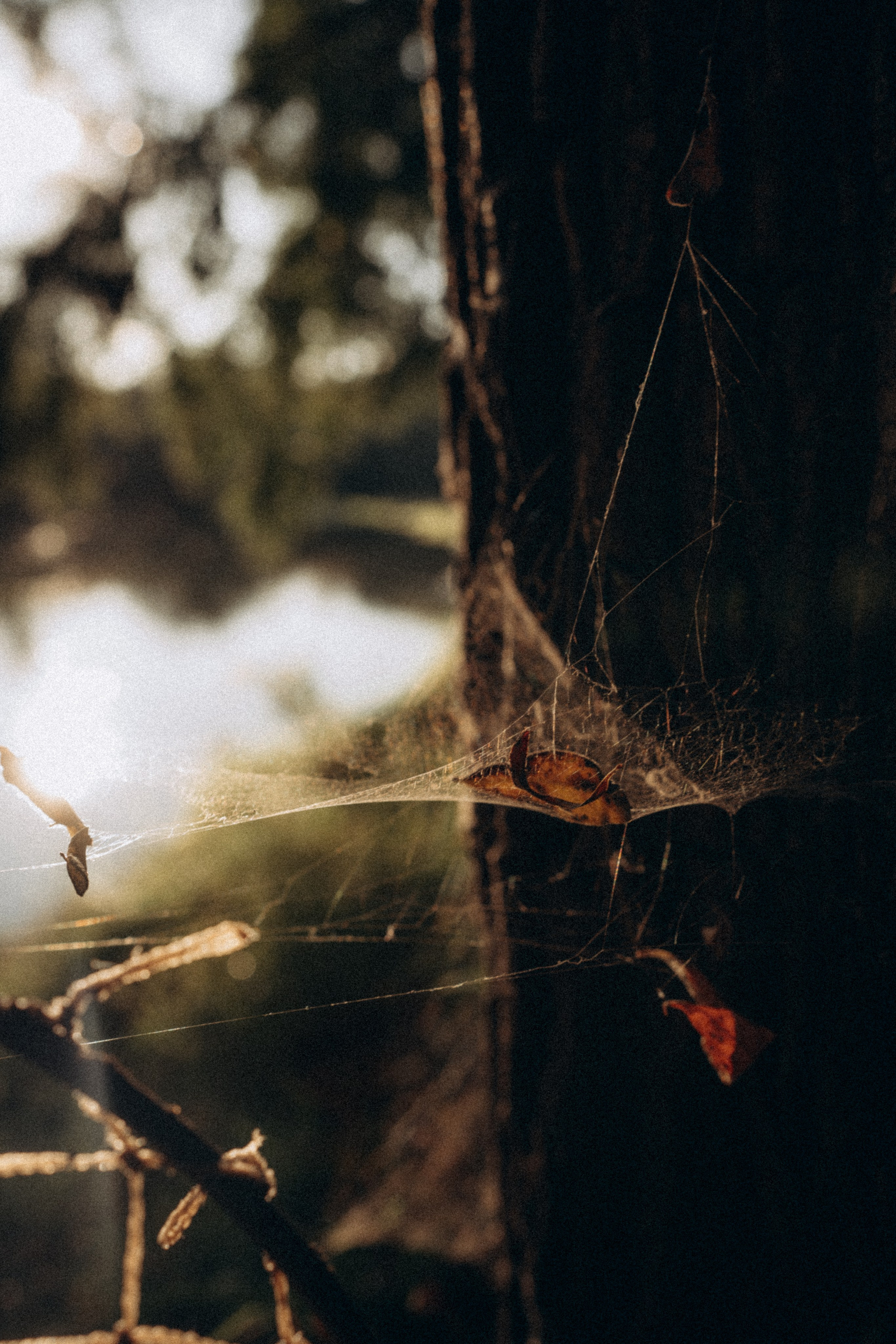 На рыбалке. Семейный и домашний фотограф в Уфе Ирина Гарасюта