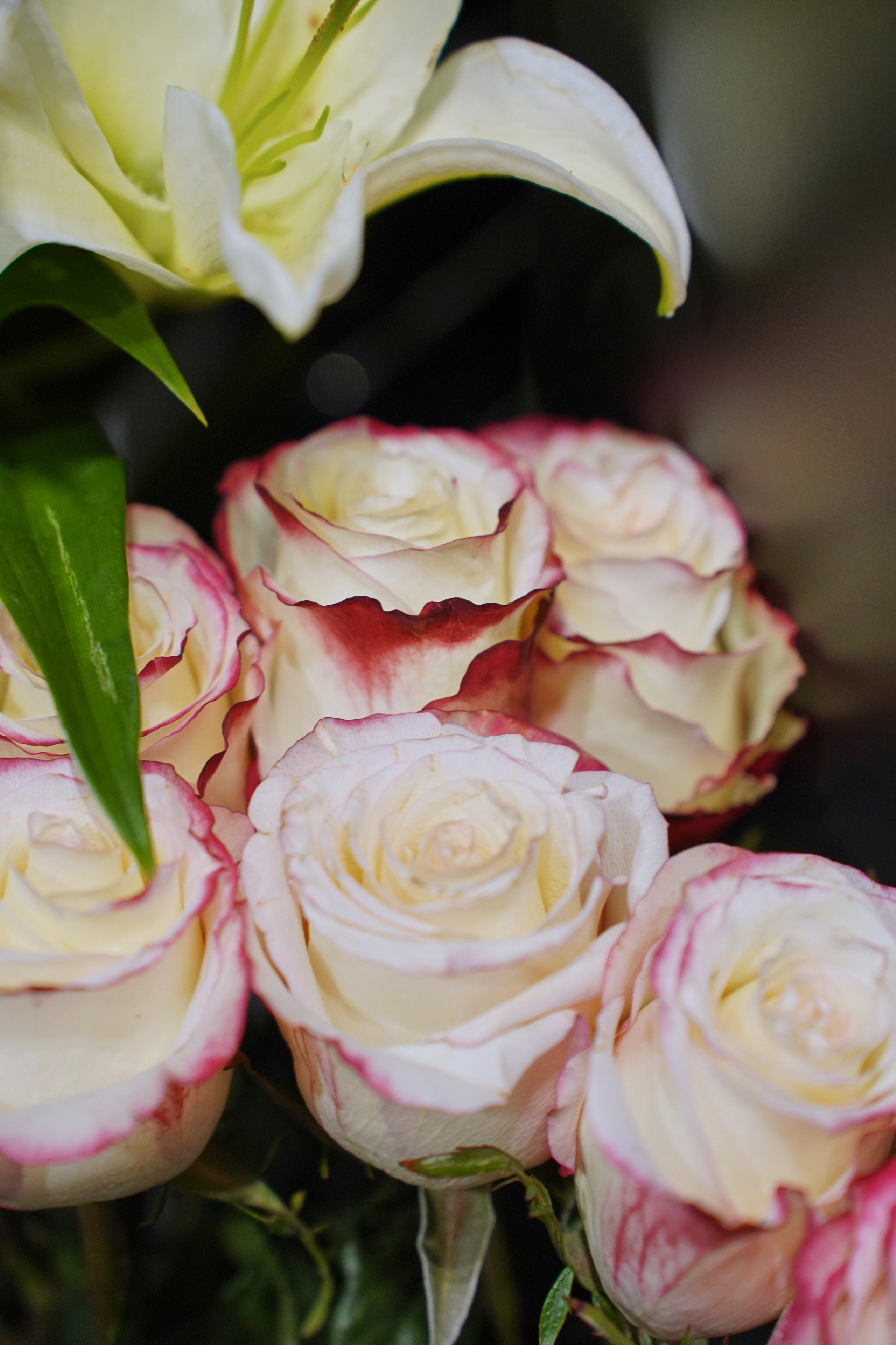 Концерт кавер группы. Фотограф