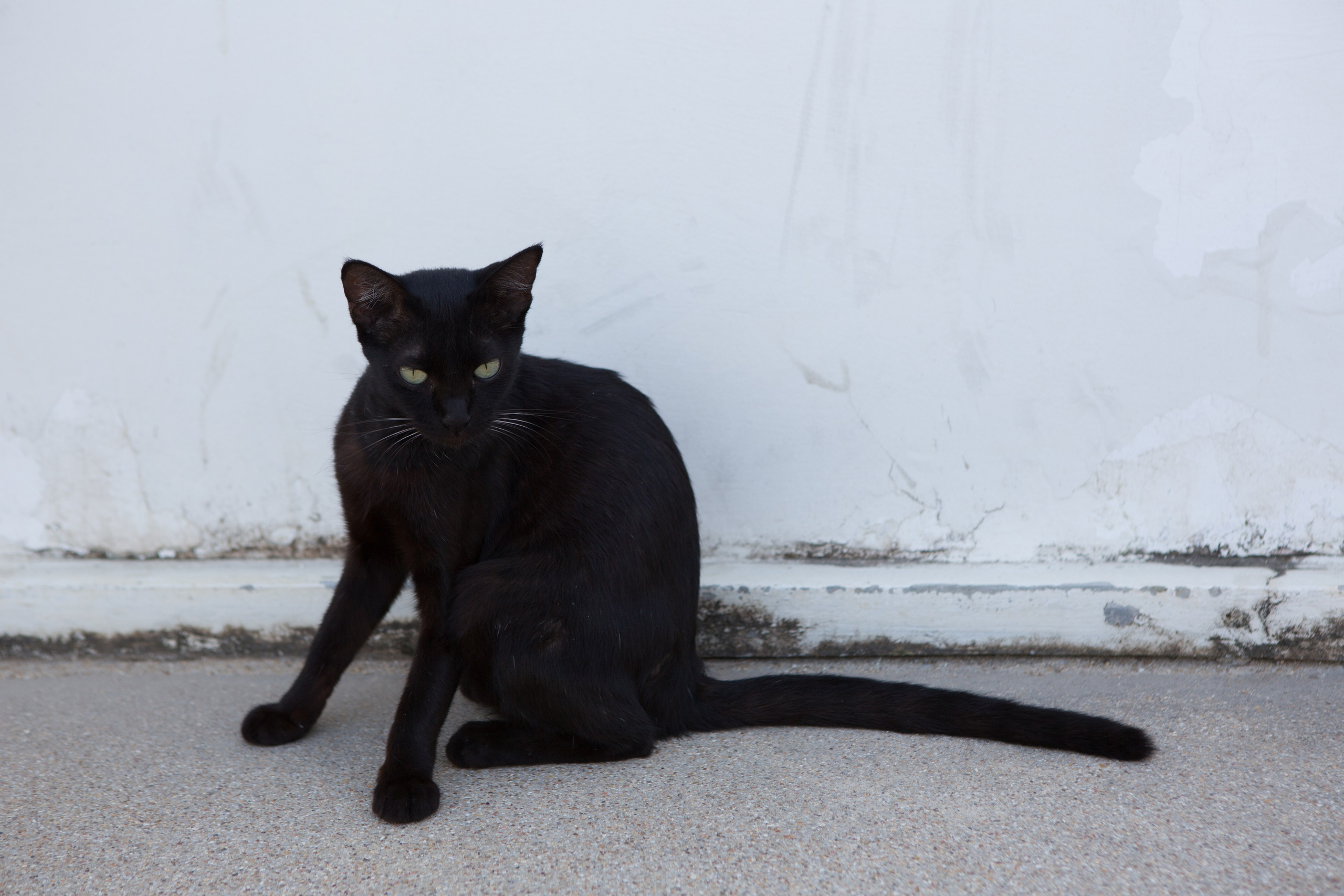 Фото Тайланда. Студия Максима Белослюдцева