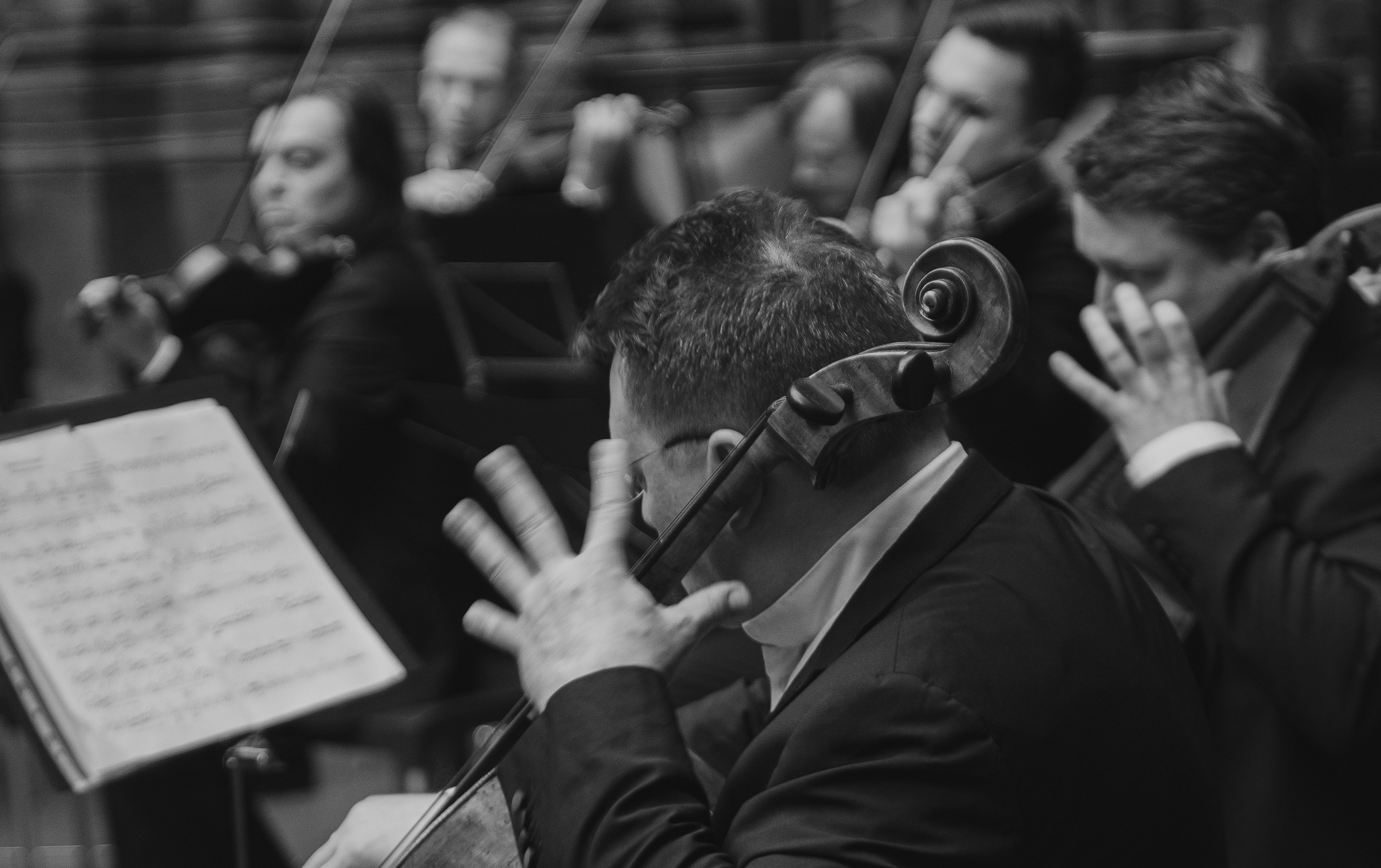 Концерты. Фотограф Антон Баклыков