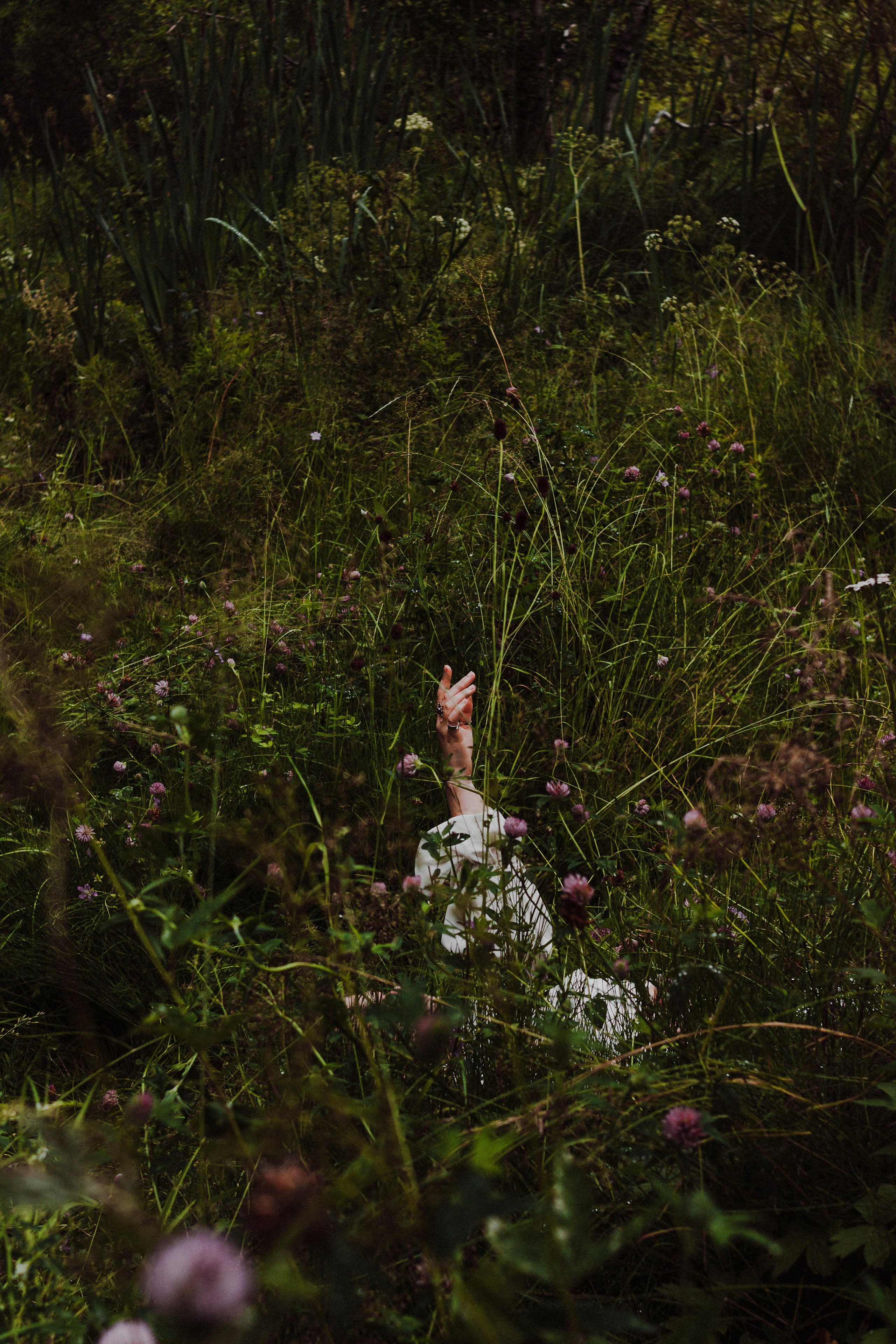 Викки. Борщевская Елизавета / фотограф Иркутск