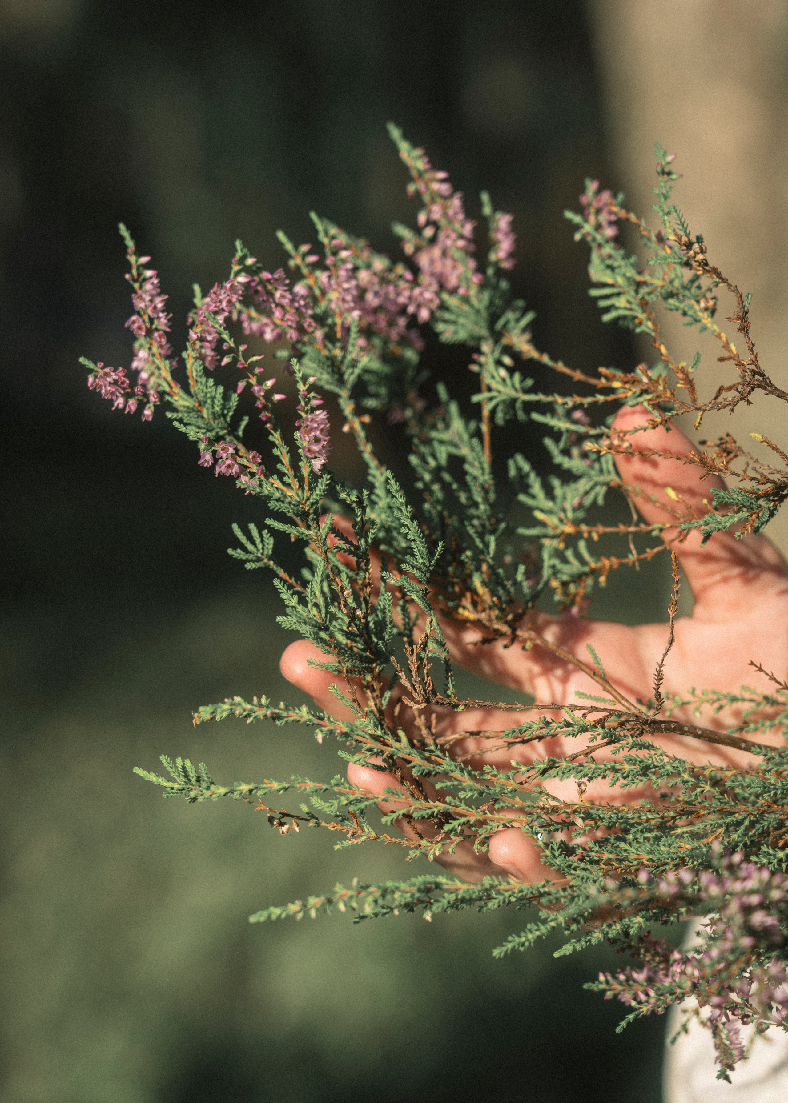 Съемка на природе. Фотограф в Санкт-Петербурге Лена Малинина