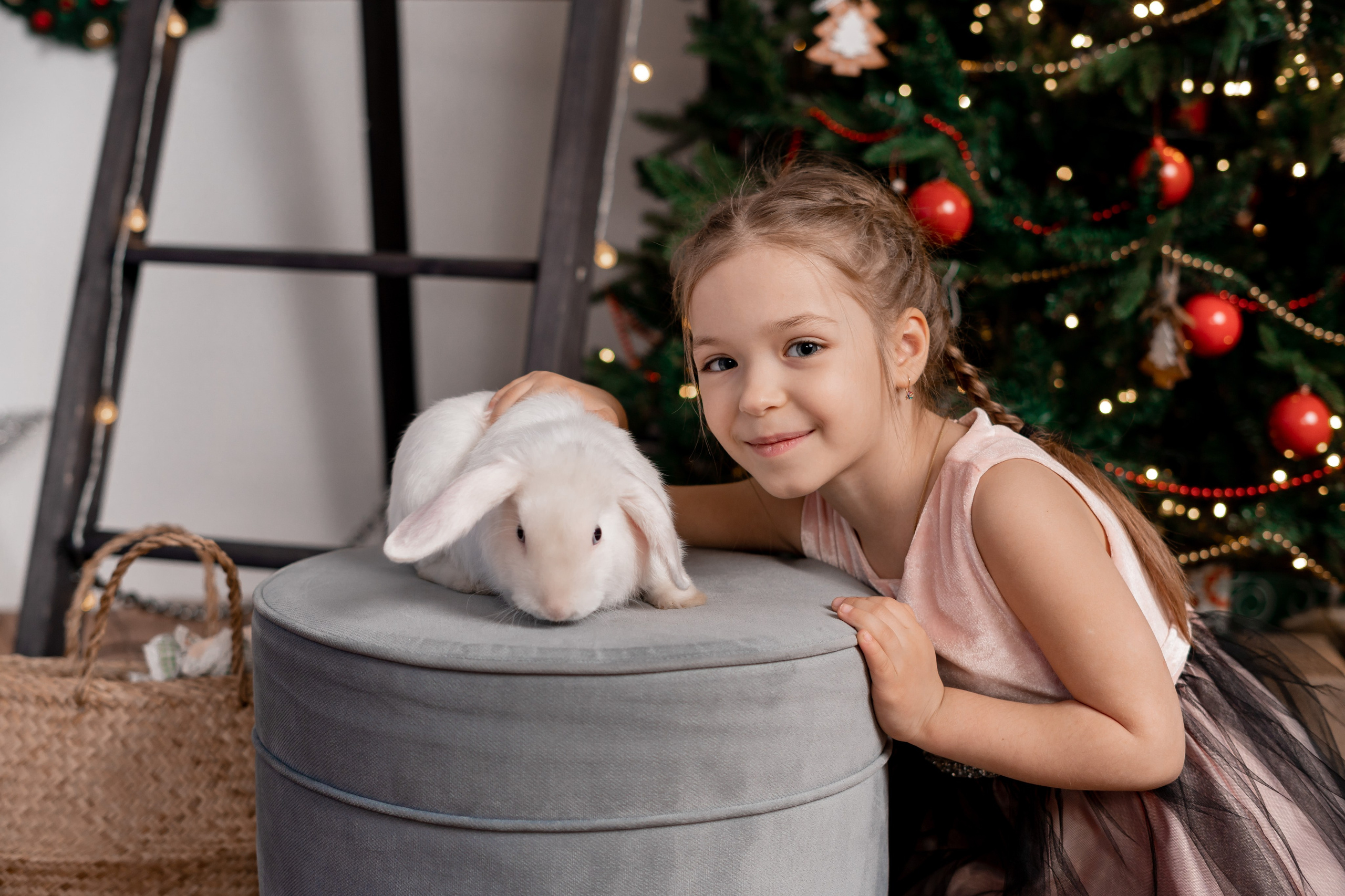 Новогодняя фотостудия. Семейный фотограф СПб Анастасия Василь. Фотосессия на годик