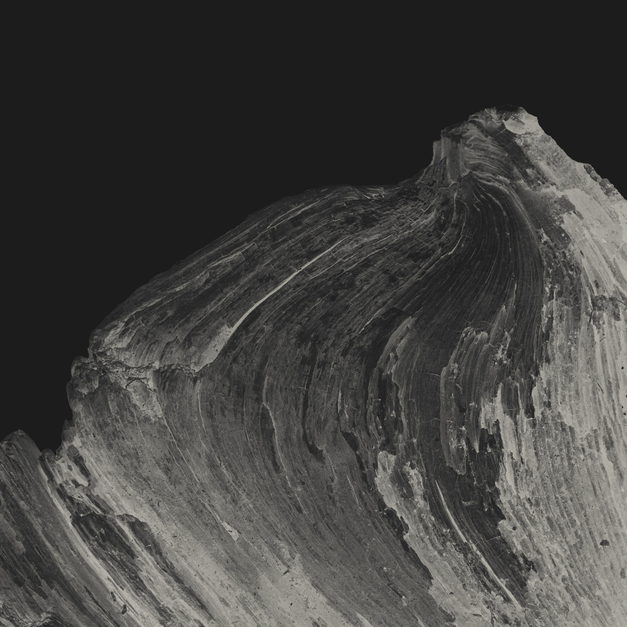 Монохромная и минималистичная фотография природы. Фотограф | Макс Коробкин