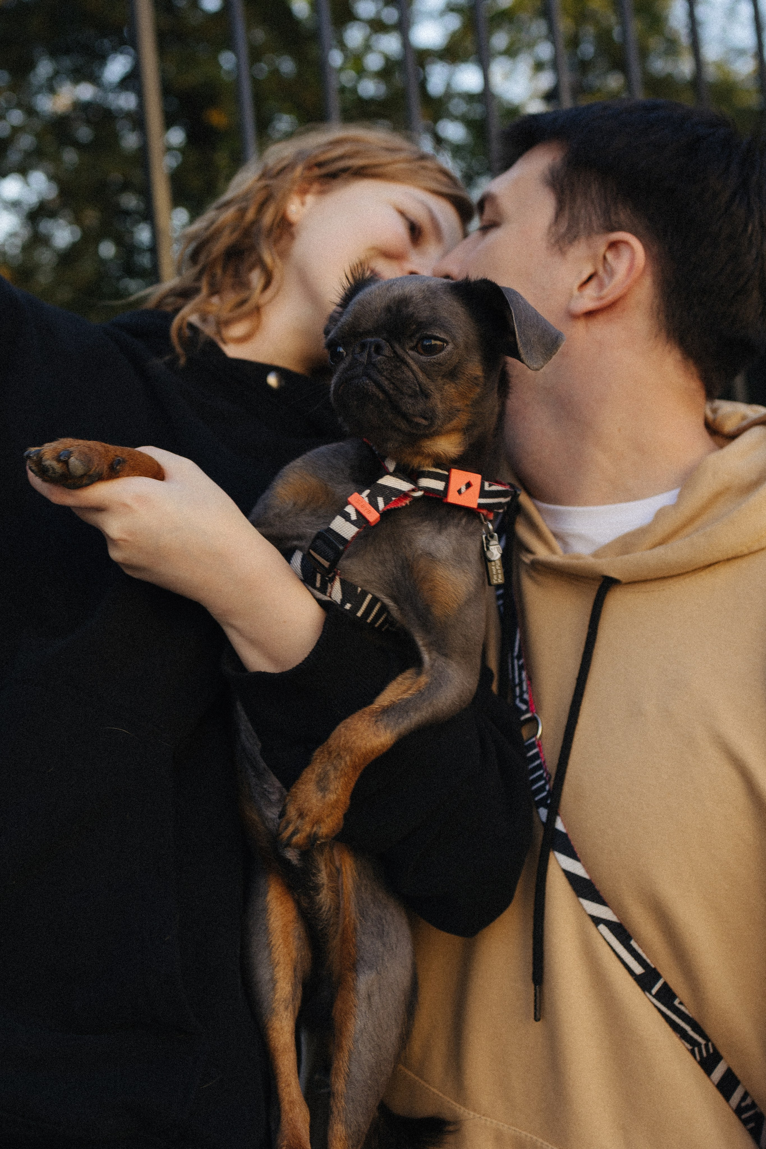 Грогу и его семья. Фотораф — анималист Мария Шистка