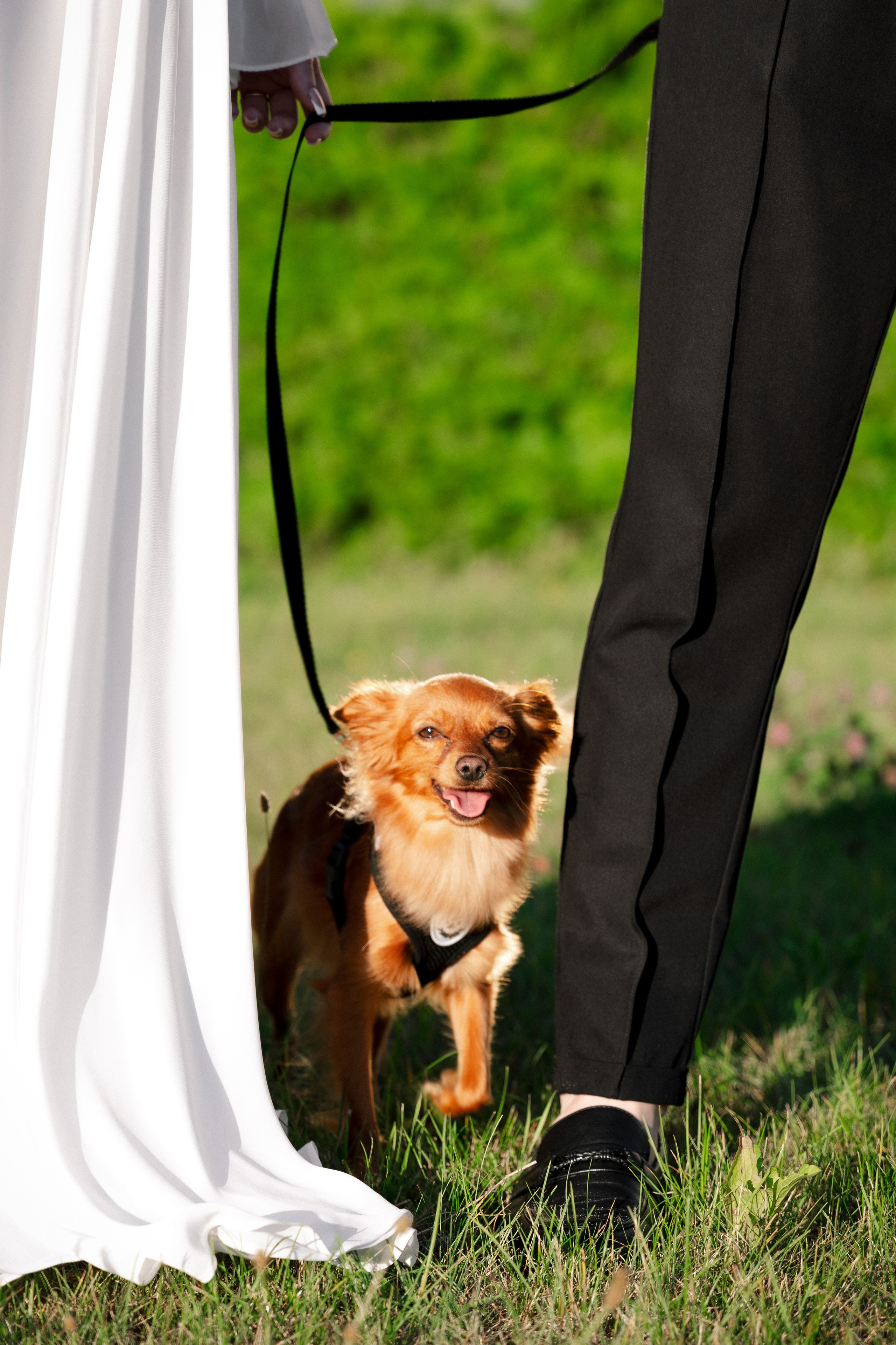 Ян & Луиза | прогулка в городе и на море. Фотограф в Калининграде Сокирко Светлана