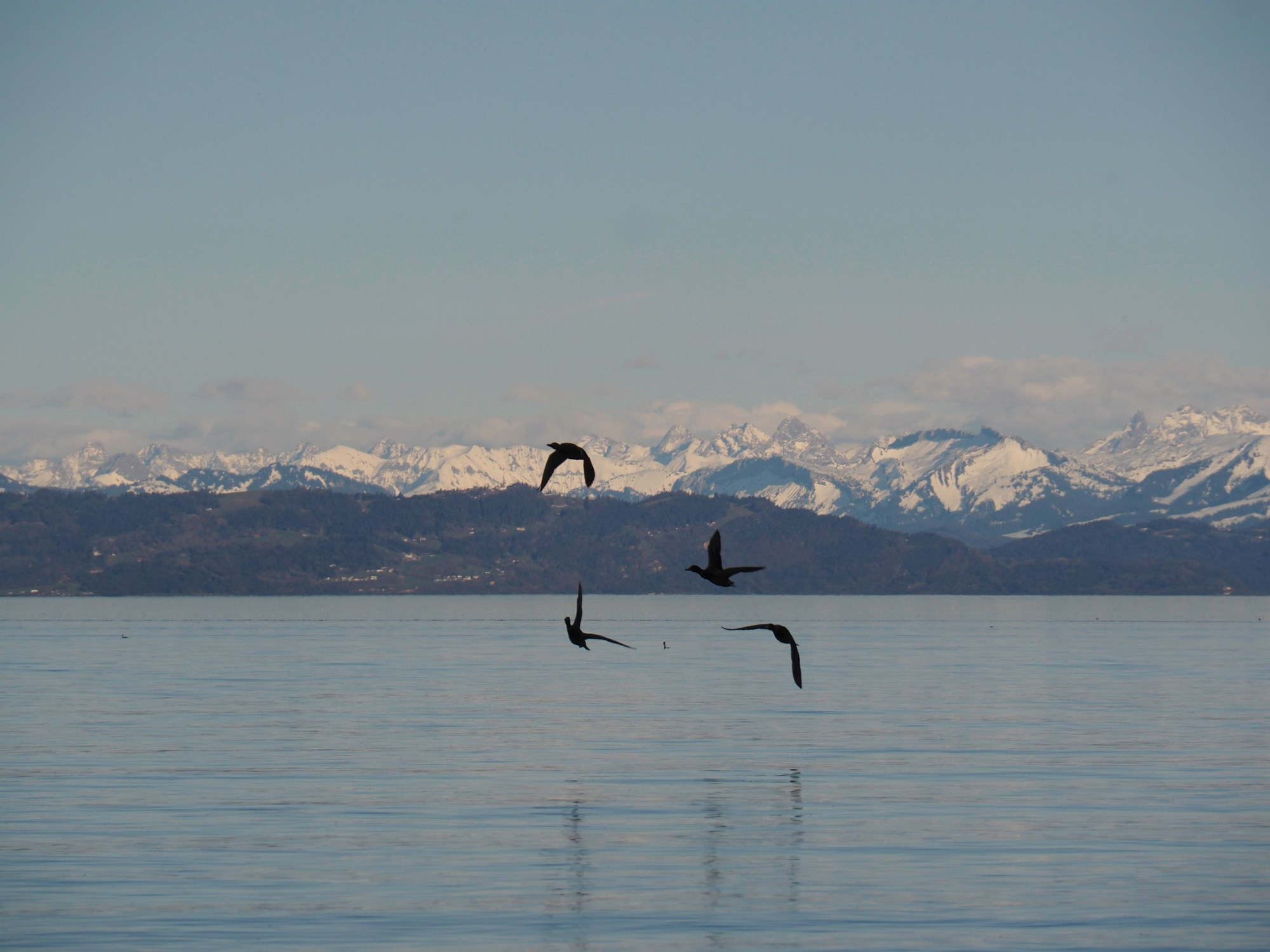 Ekaterina Shikhanova