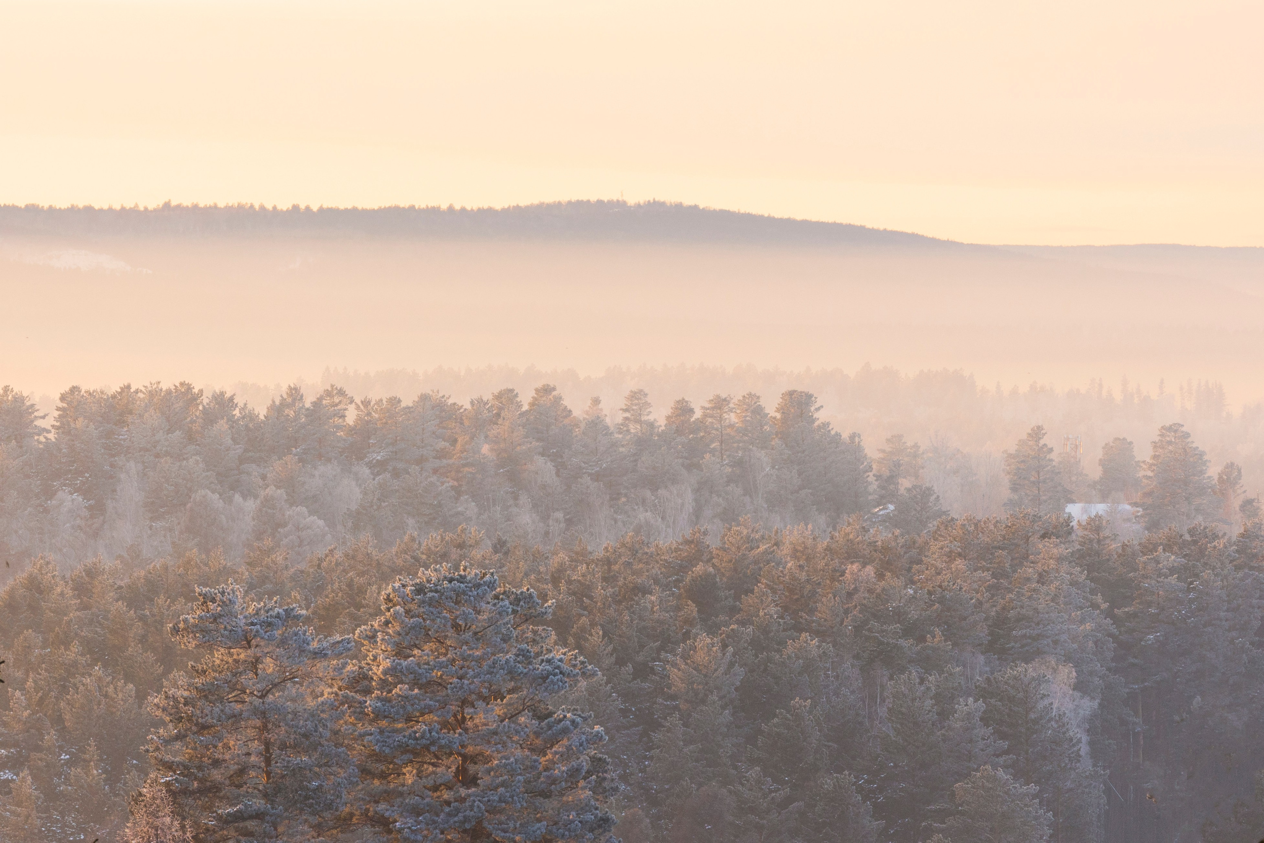 2025 год. Тащилин Сергей. Фотографии. Жизнь. Хобби