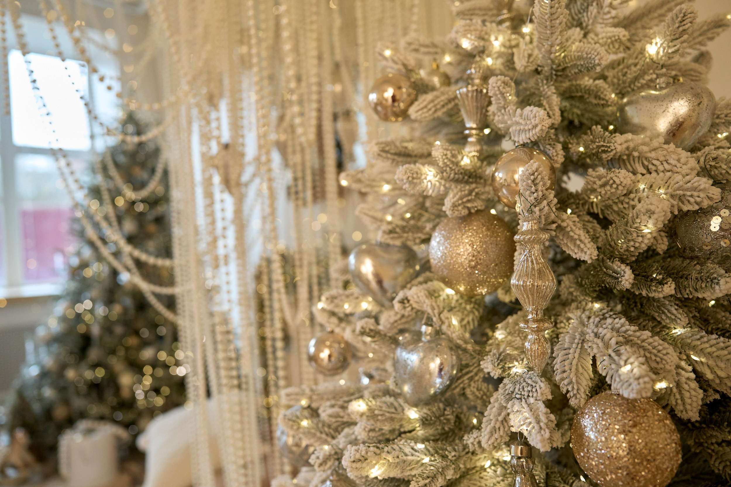 Париж (Paris). Фотограф г. Хабаровск. Семейные и индивидуальные съёмки