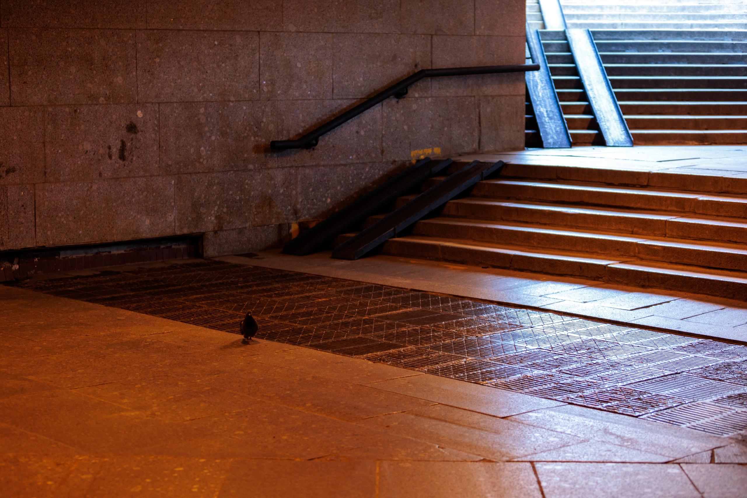 Авторская фотография и эстетика Петербурга | Роман Карбышев. Репортажный фотограф | Снимки за 3 дня | СПБ и ЛО