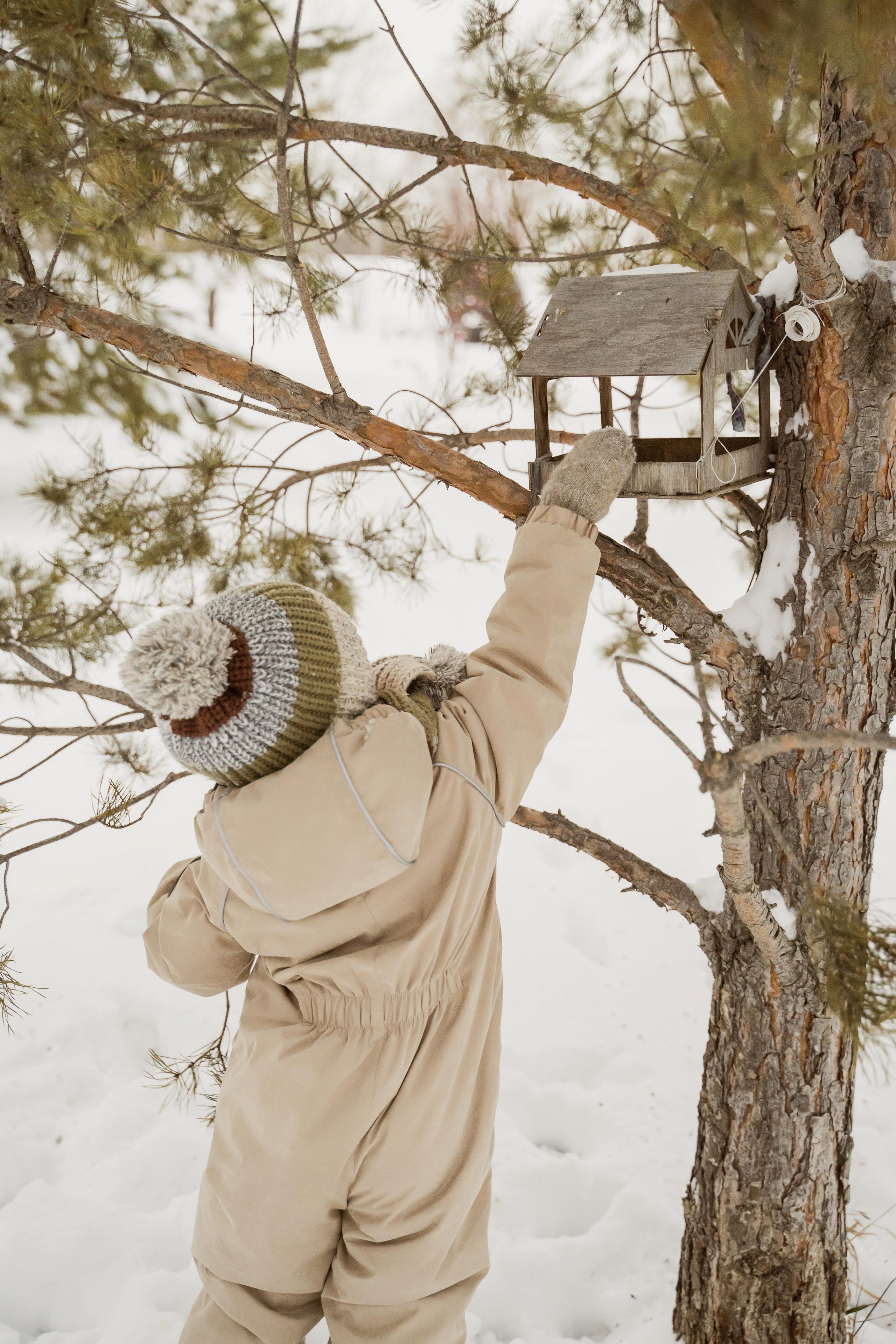 Зимняя прогулка. Главная