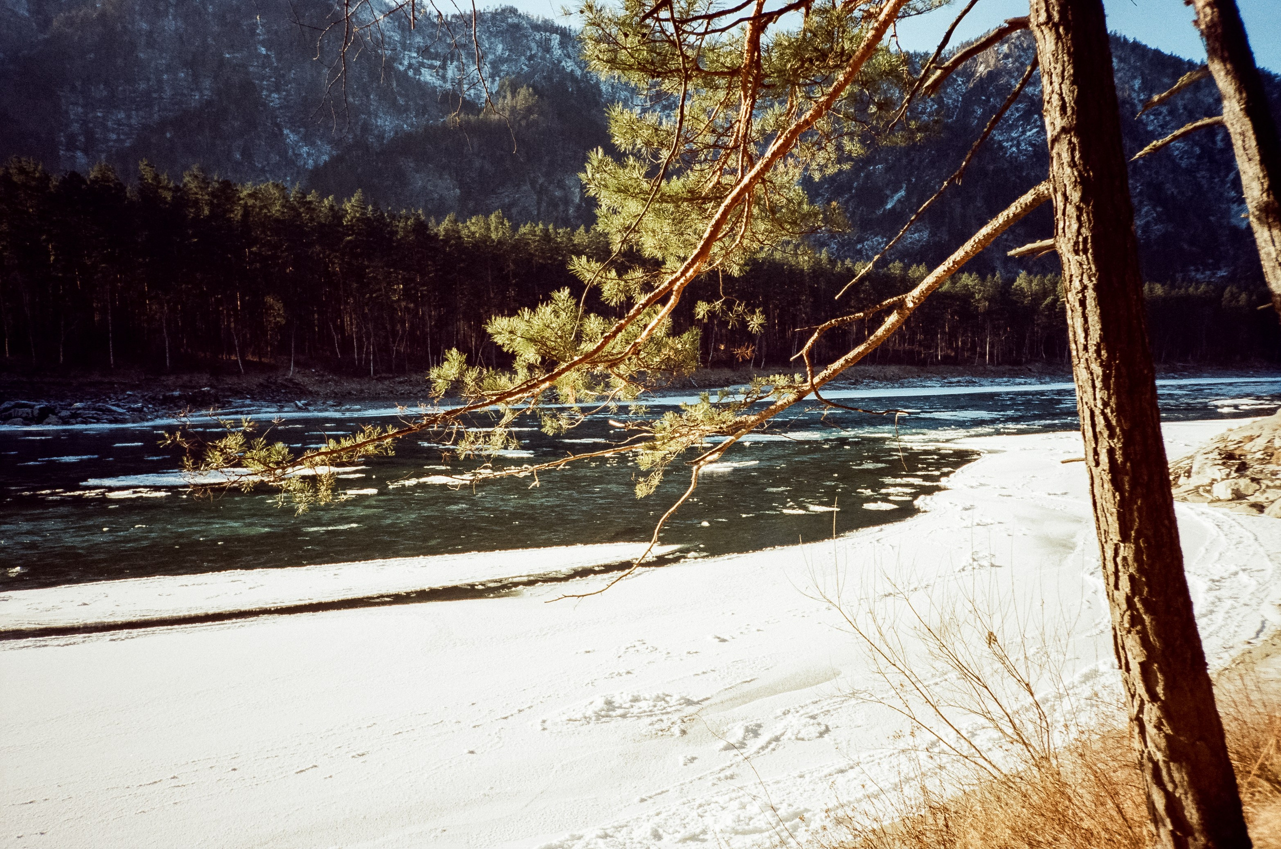 Подвесной мост Царская охота и база Белые скалы. Ледяная Катунь на сол. Фотограф-документалист Мария Осокина
