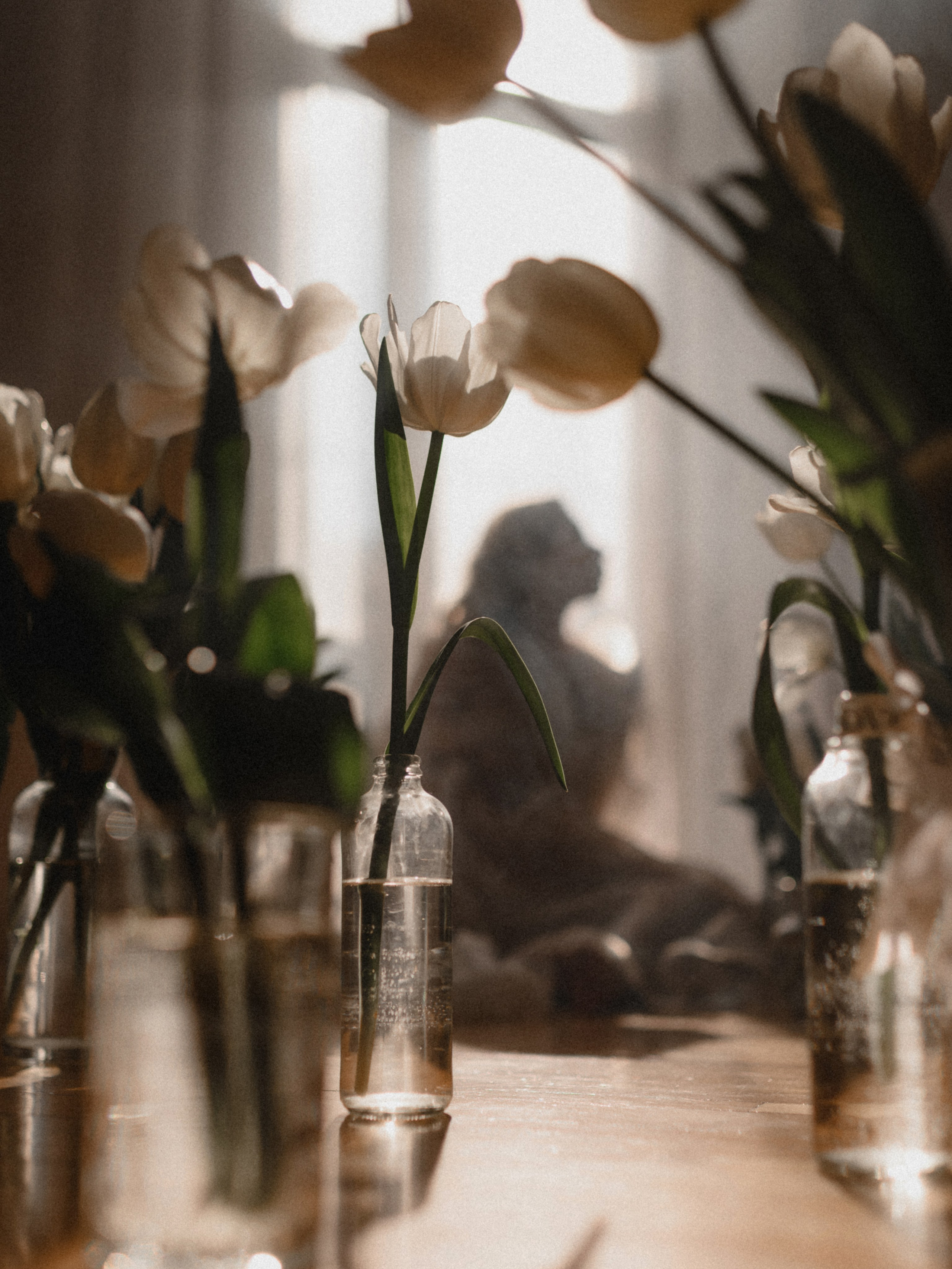 Юлия. Фотограф в Симферополе Ярошенко Екатерина