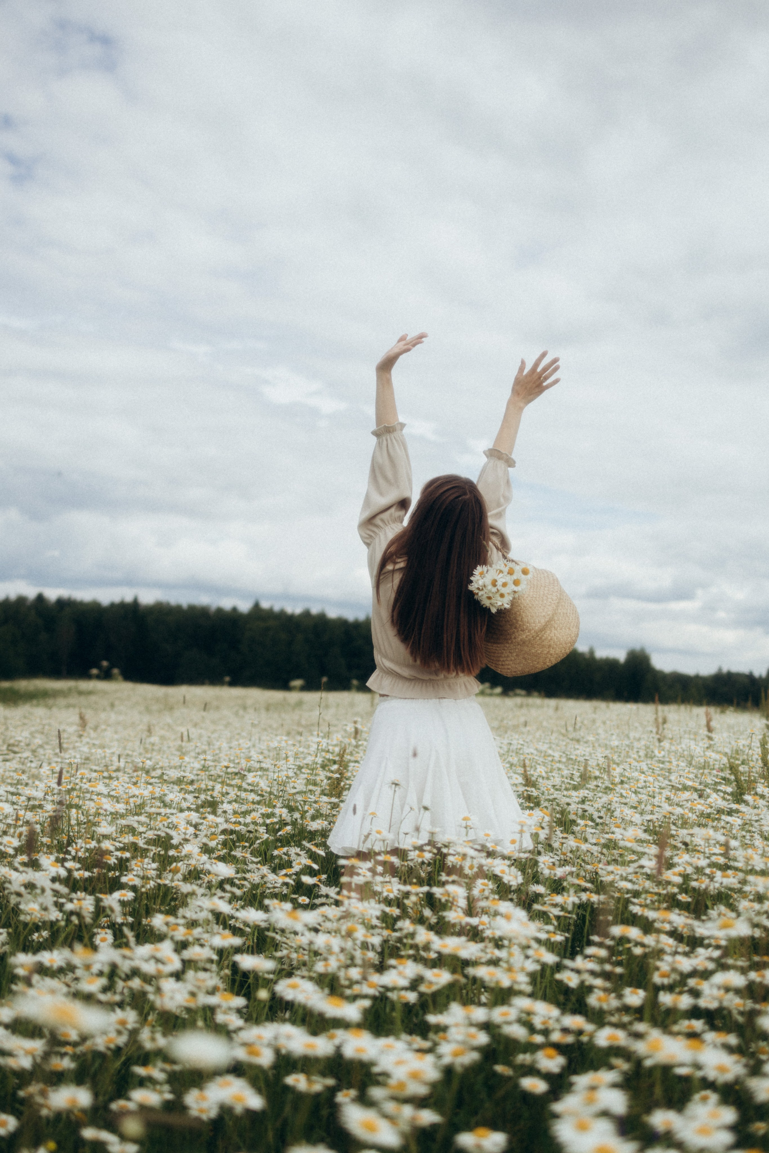 Ромашковое море. Фотограф Валерия Ковпак. Москва. Химки. Куркино