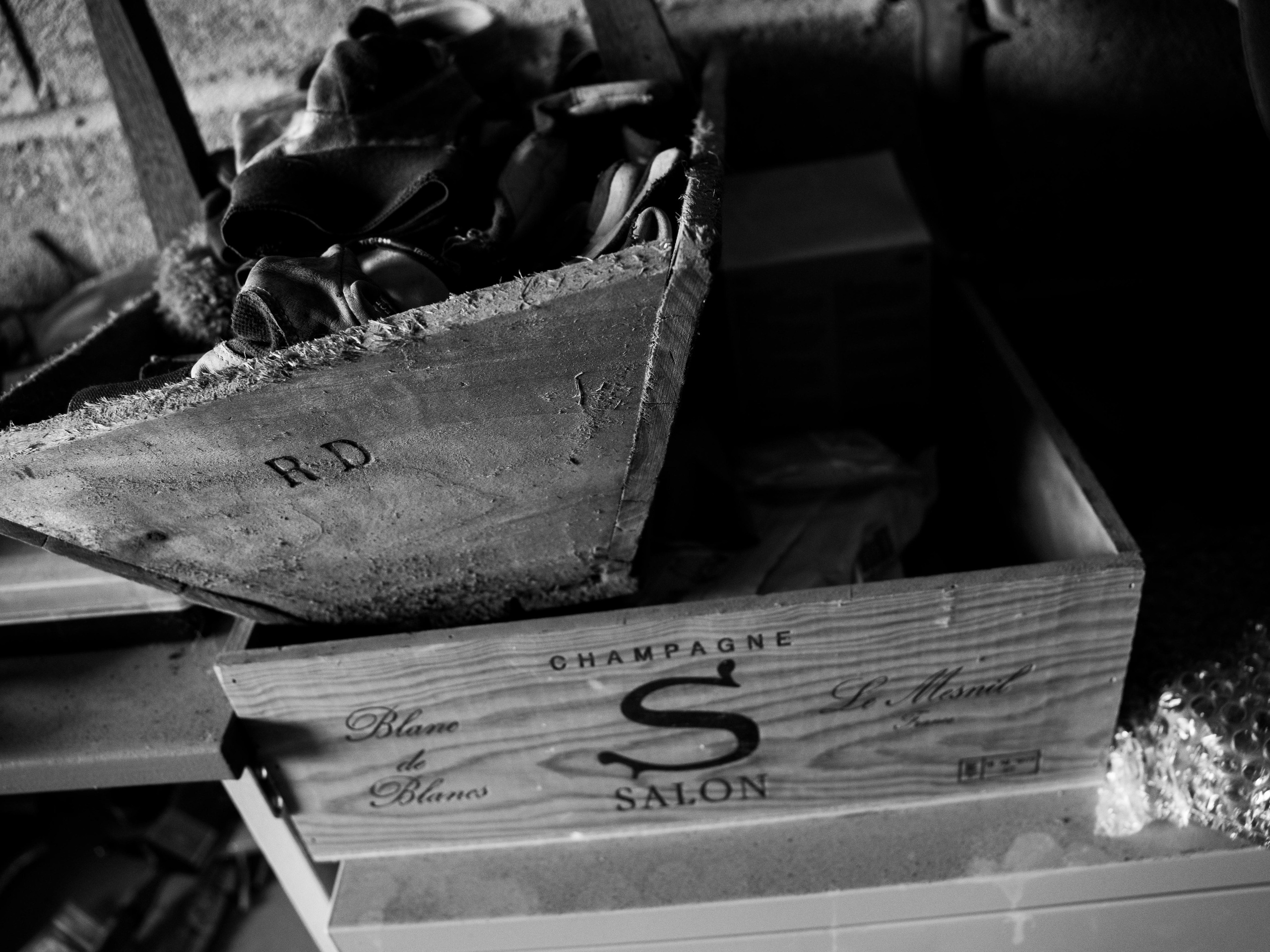 Champagne 2025. Фотограф в Крыму Алевтина Швец