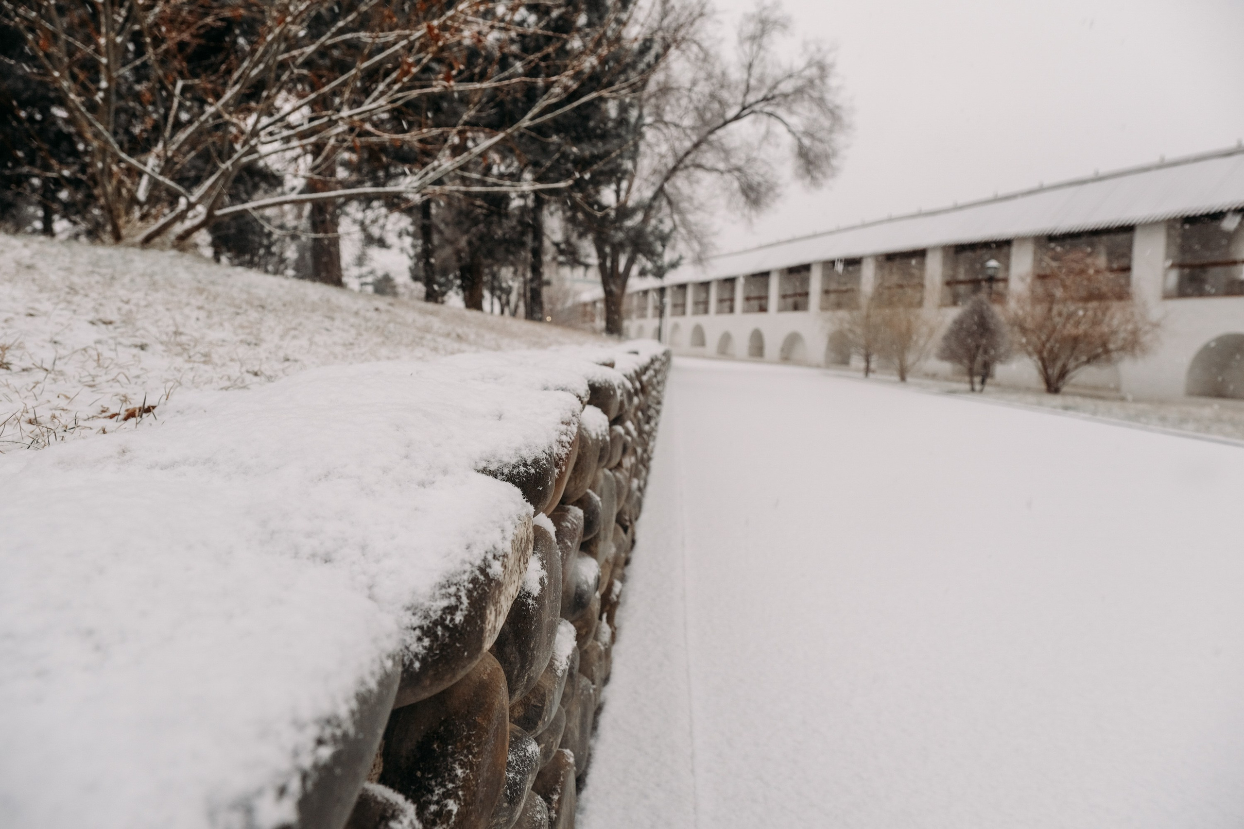 Снегопад. Фотограф Анатолий Деникин
