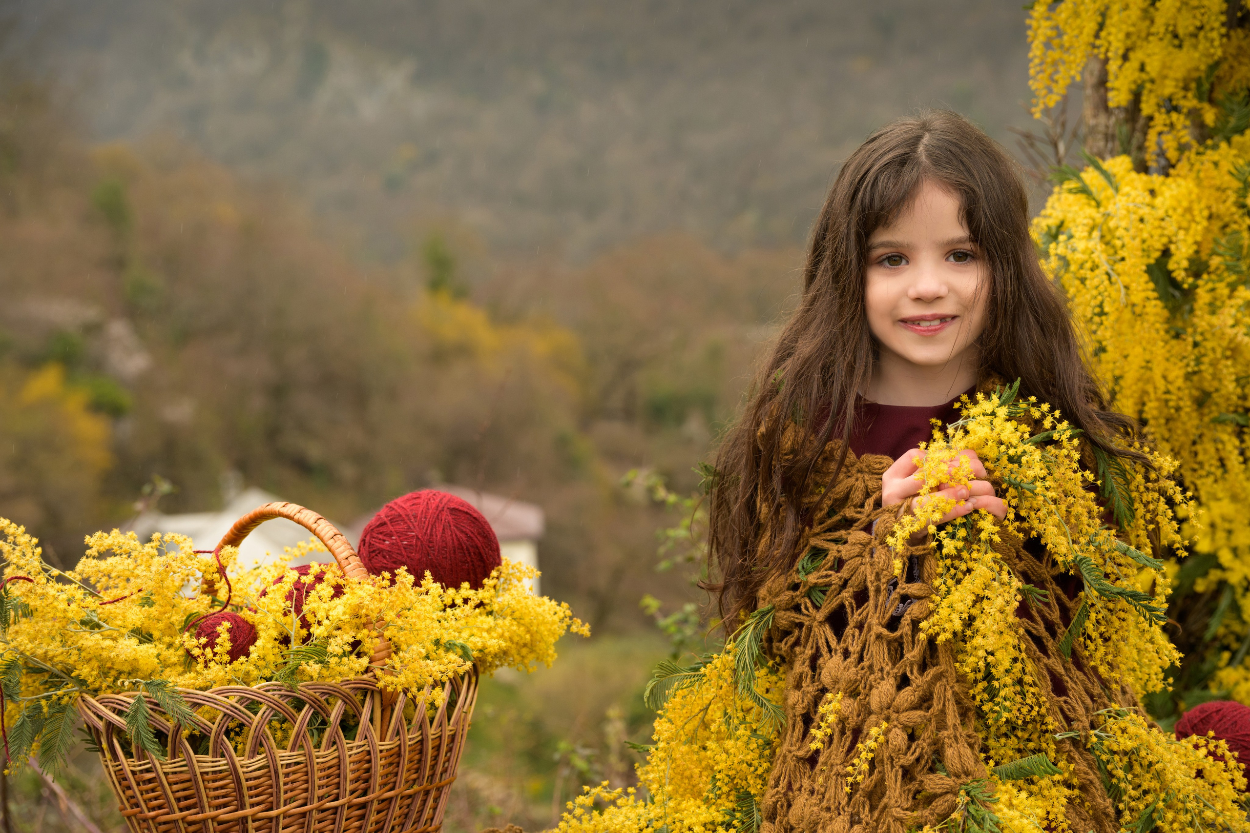 Фотосессия с мимозой