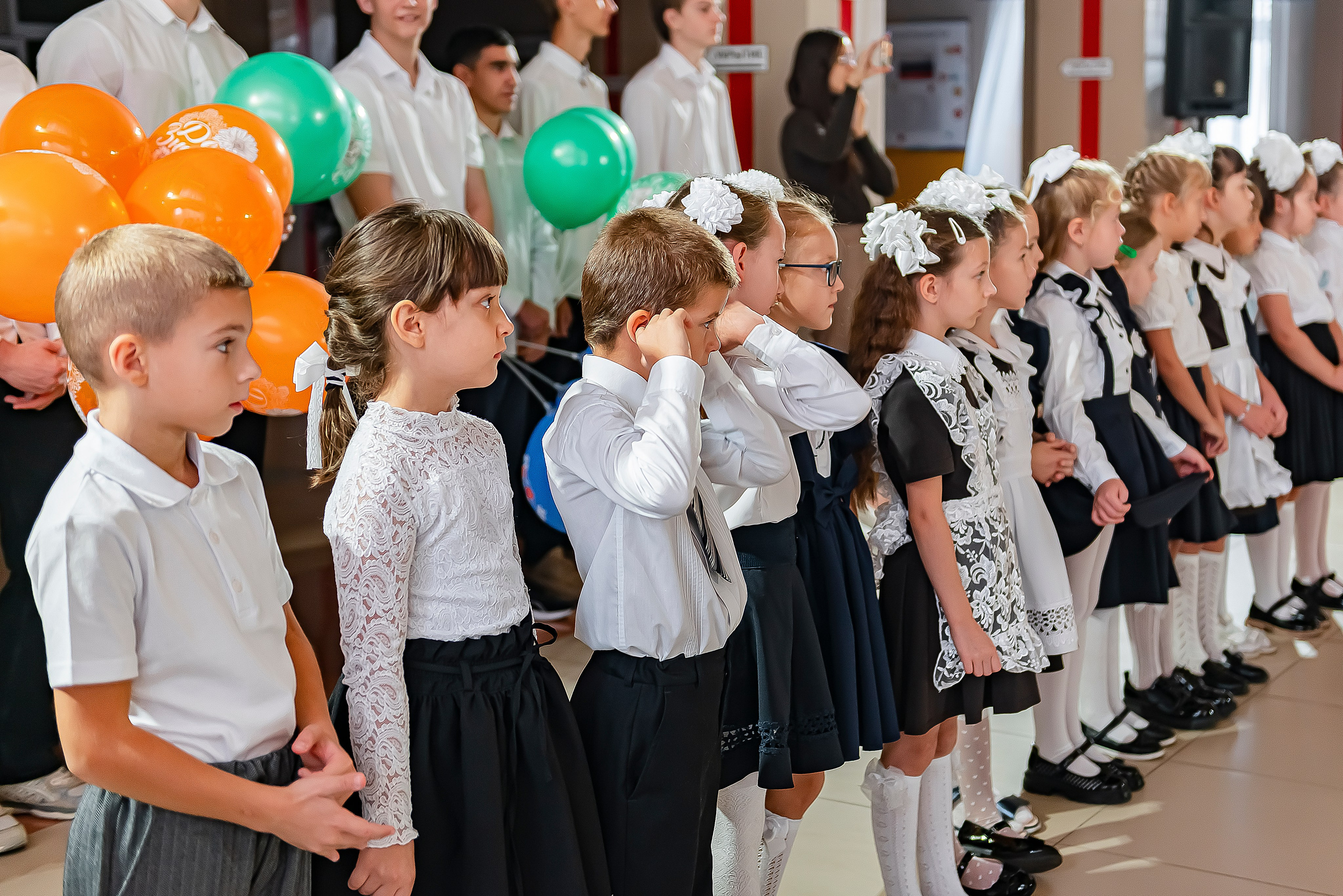 1 «В» | Гимназия № 3| г. Белгород |2024. ALBUMIA