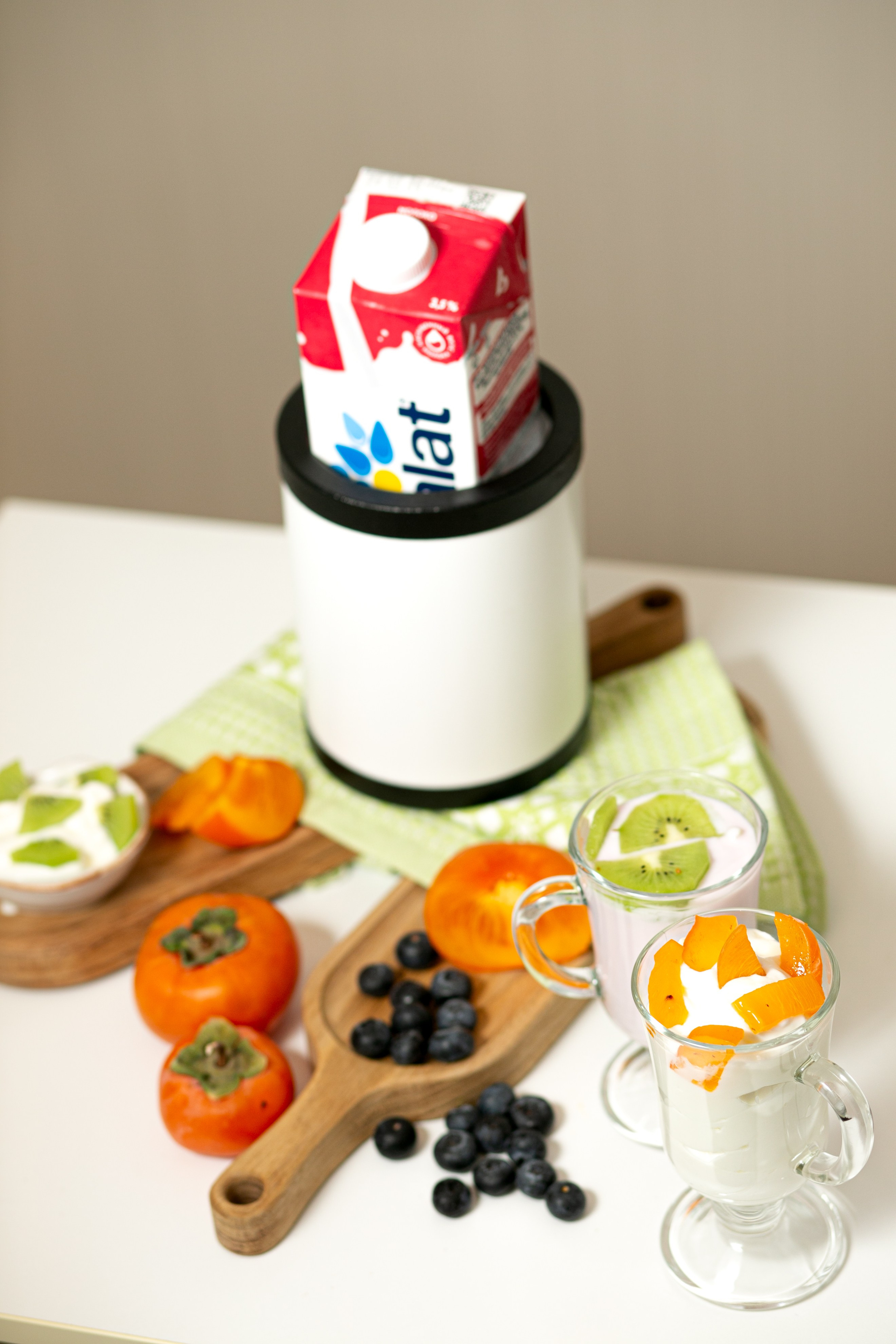 Компания по производству изделий для домашнего электрообогрева. Коврик с подогревом и йогуртница