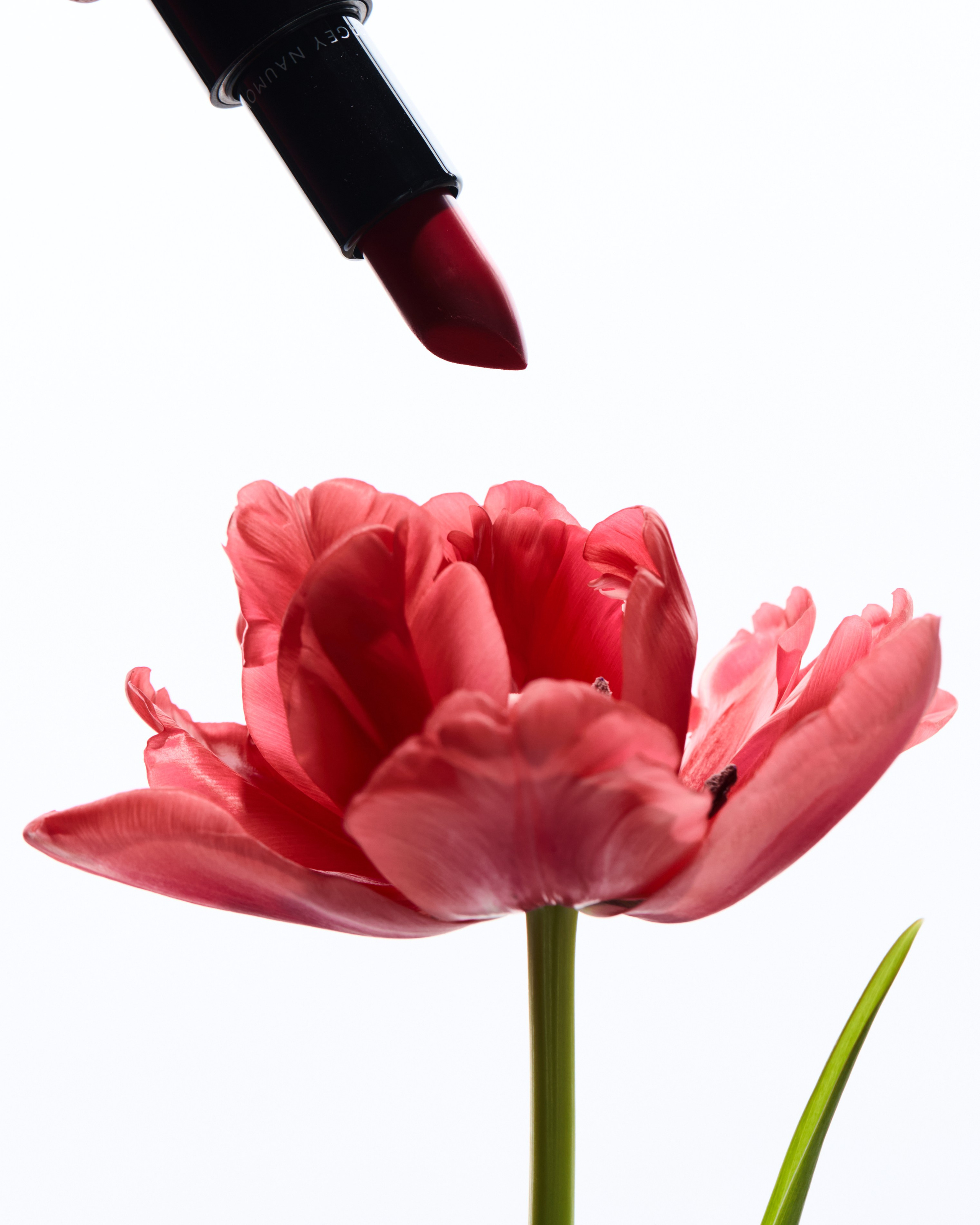 SERGEY NAUMOV. Главная