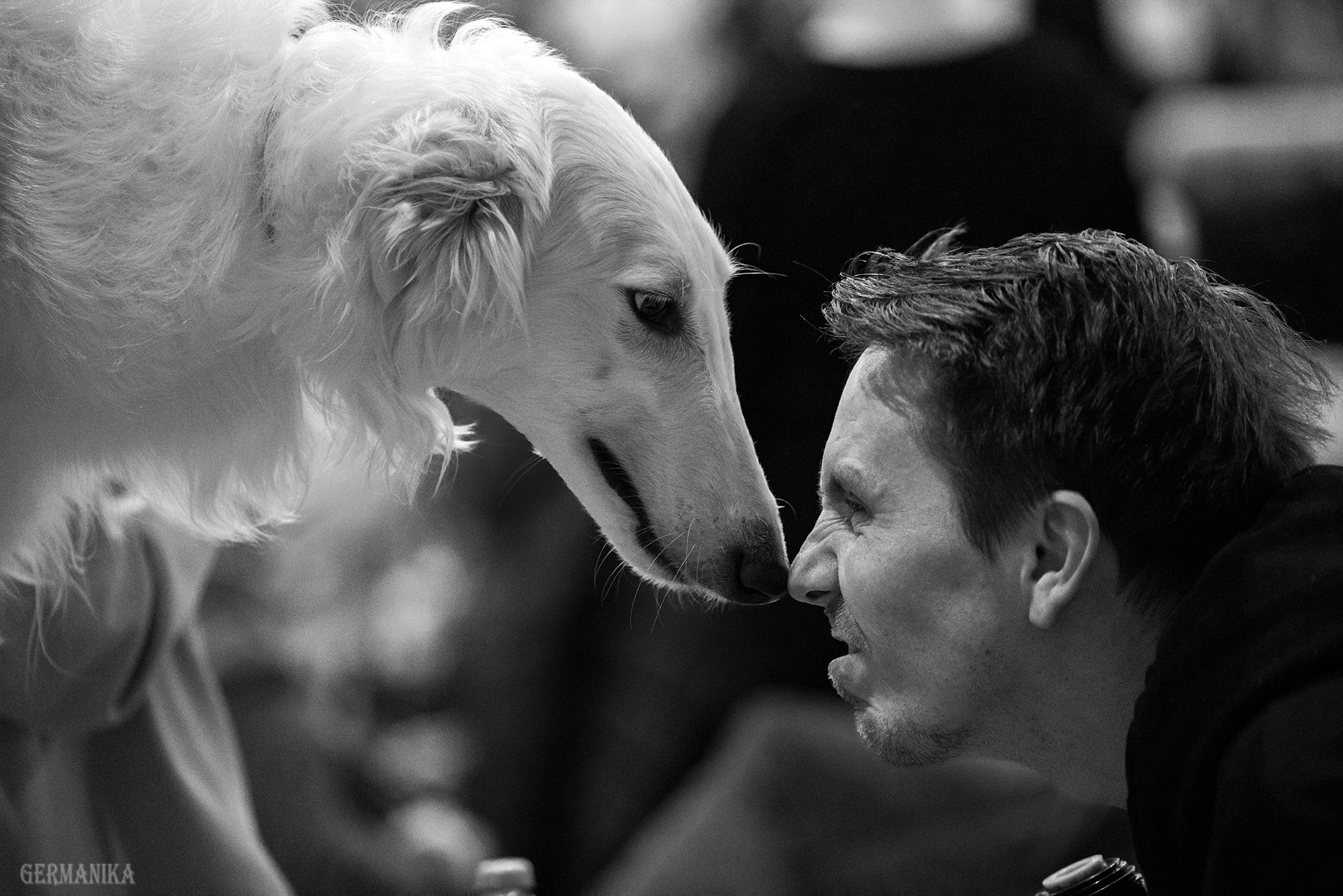 Сабанеевка 26-27.01.2024. Фотограф-анималист Юлия Германика