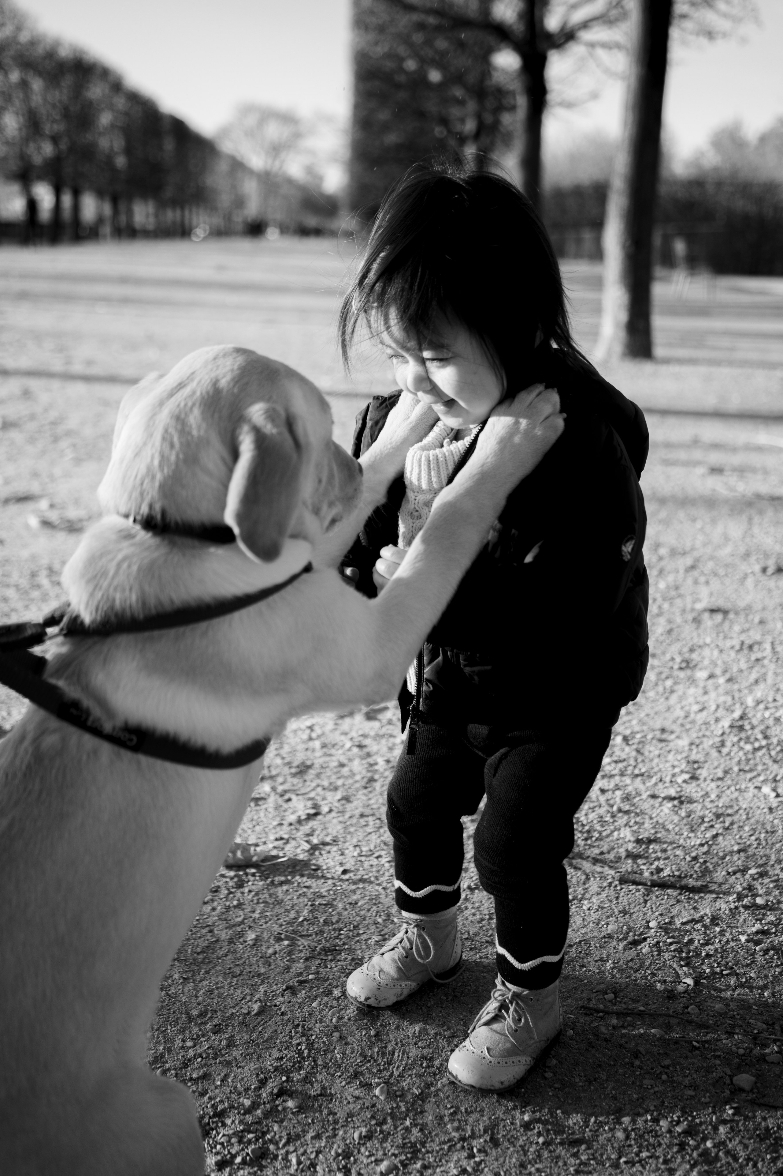 Mary. Photographer Yudakova Daria