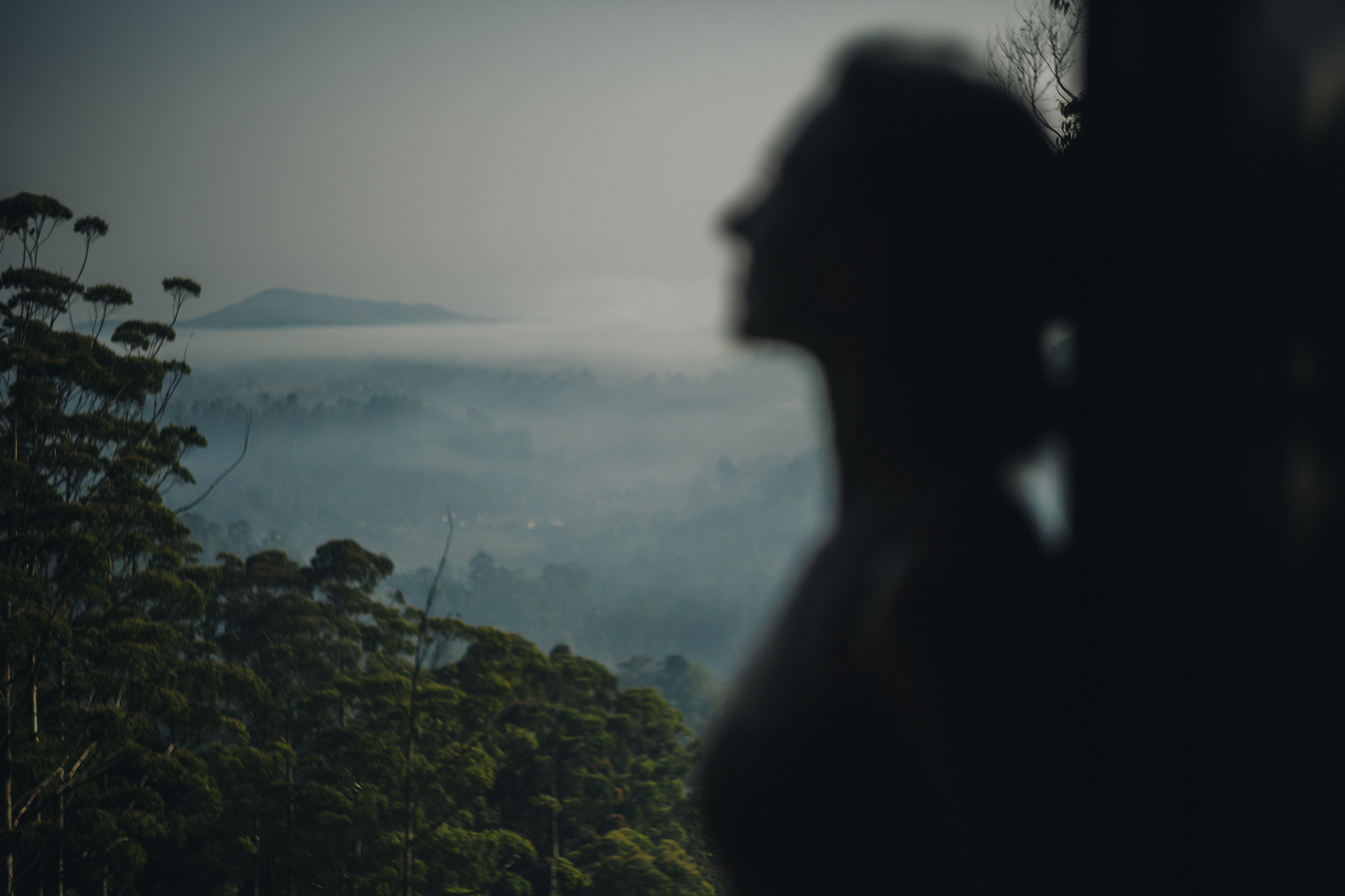 Юля. Поезд Элла — Канди (Шри-Ланка). Фотограф Марина Каныгина (Федосеева)