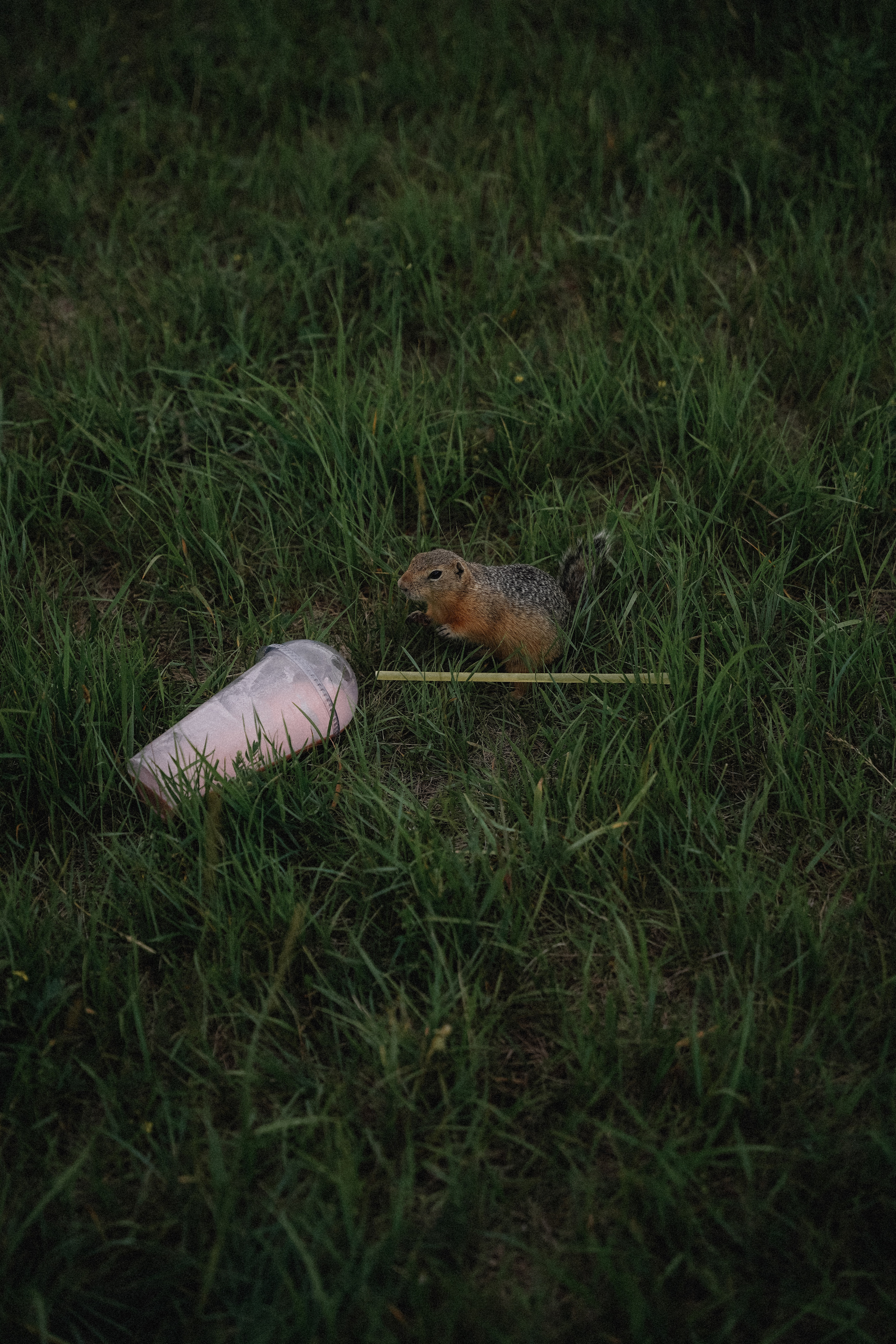 Светлана Кузнецова Геленджик фотограф. VISUAL ARTIST · KRONGAUZ ANASTASIA