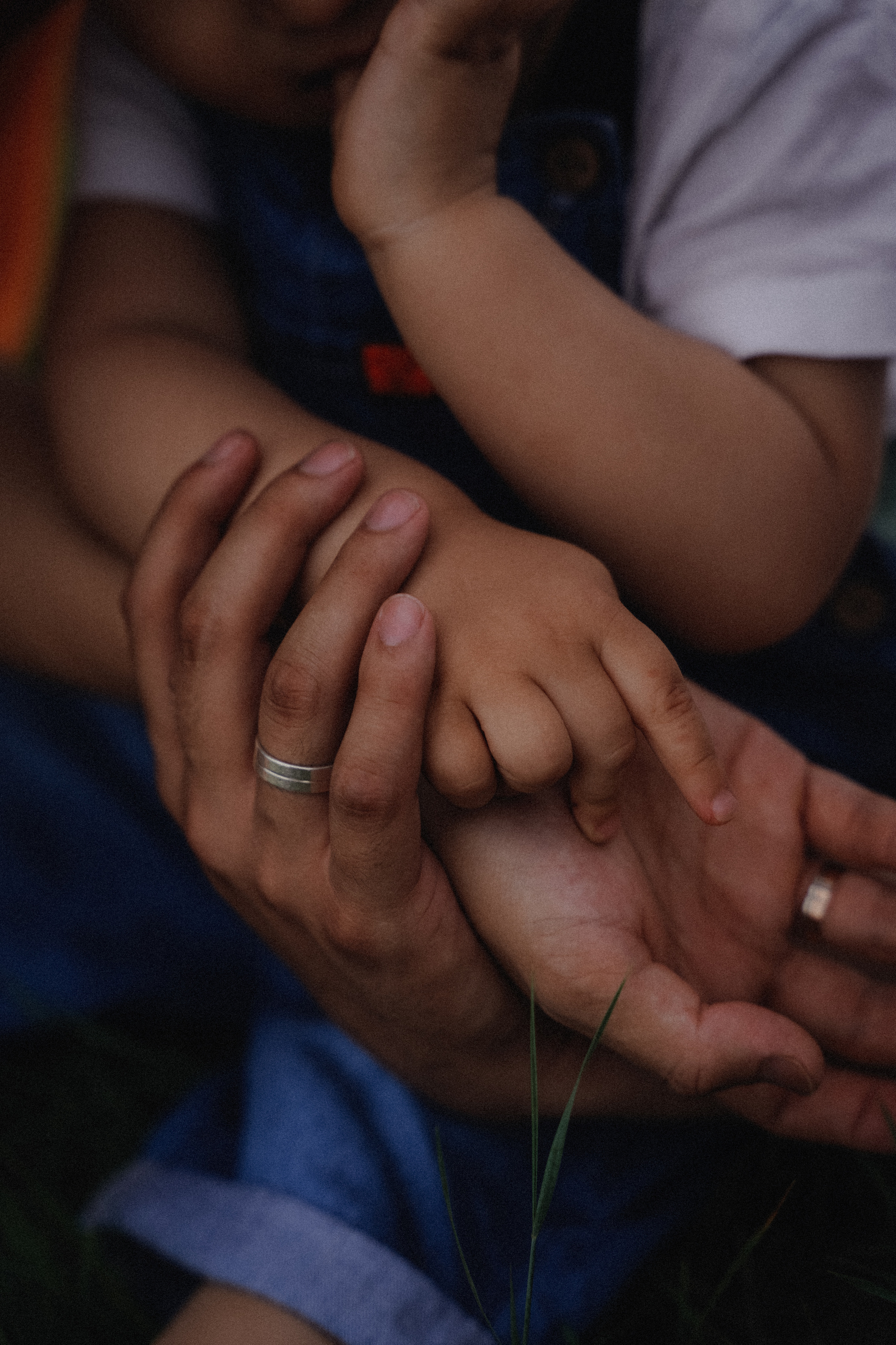 Светлана Кузнецова Геленджик фотограф. VISUAL ARTIST · KRONGAUZ ANASTASIA