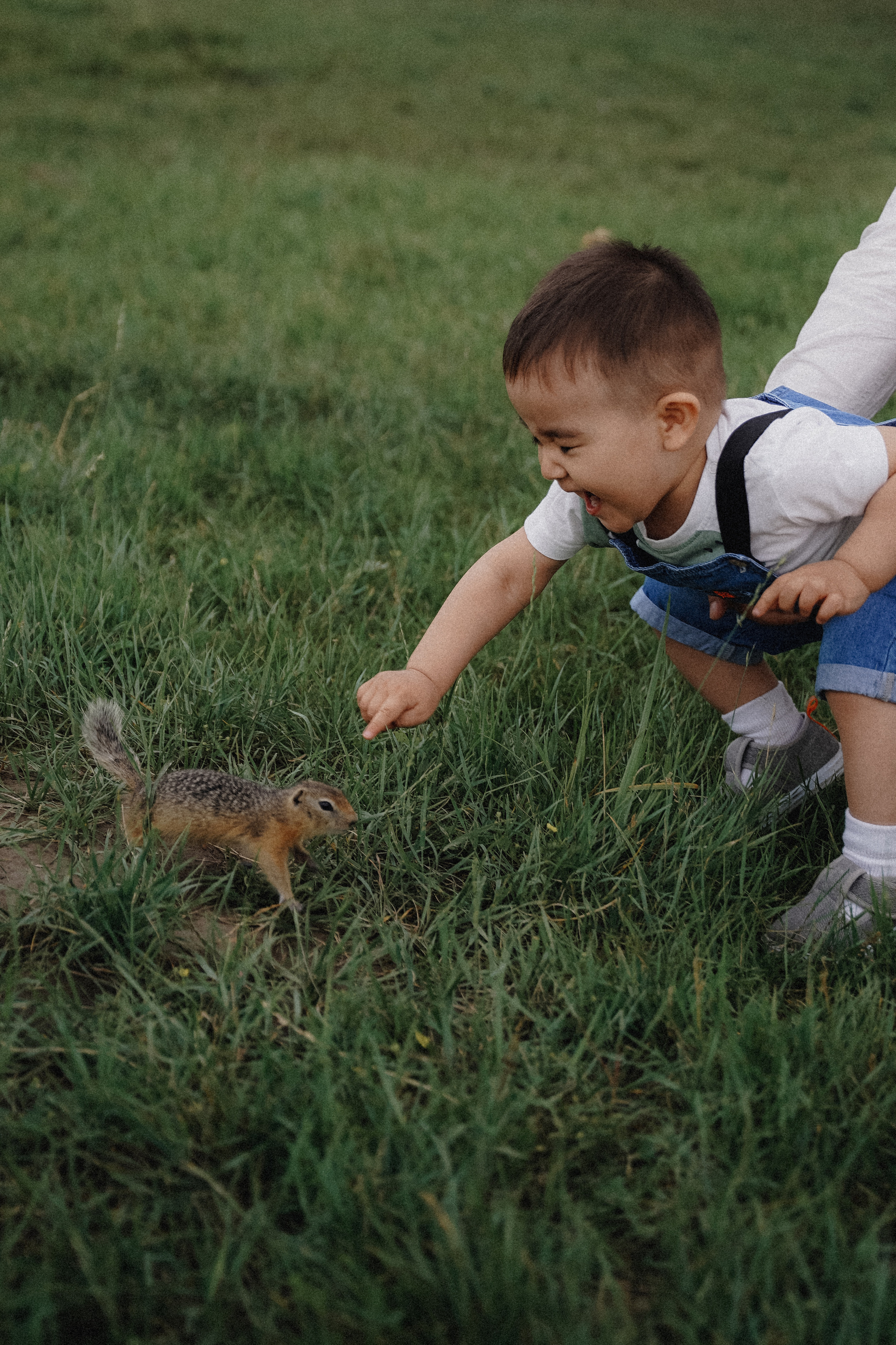 Светлана Кузнецова Геленджик фотограф. VISUAL ARTIST · KRONGAUZ ANASTASIA