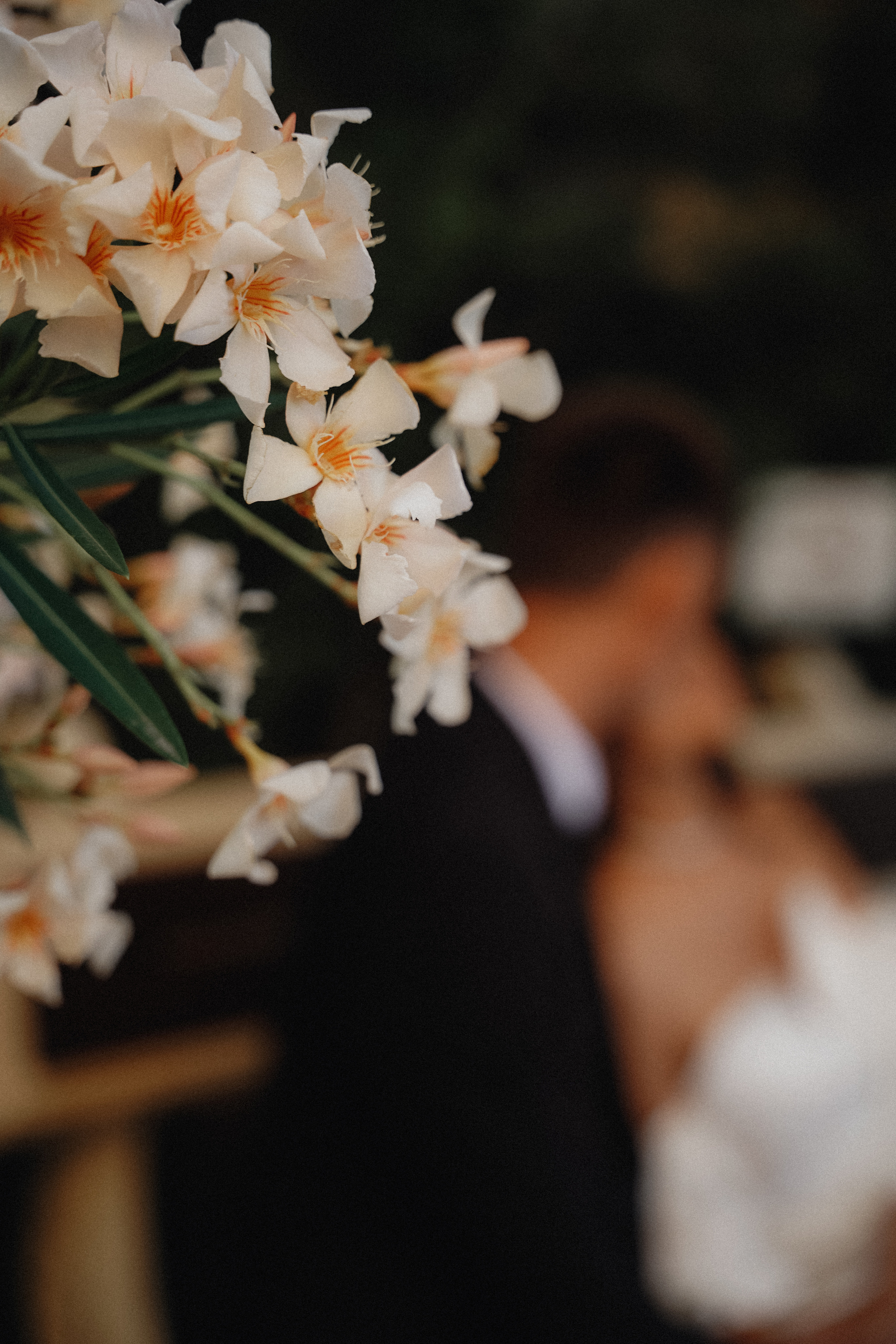 Свадьба в Геленджике в старом парке. VISUAL ARTIST · KRONGAUZ ANASTASIA