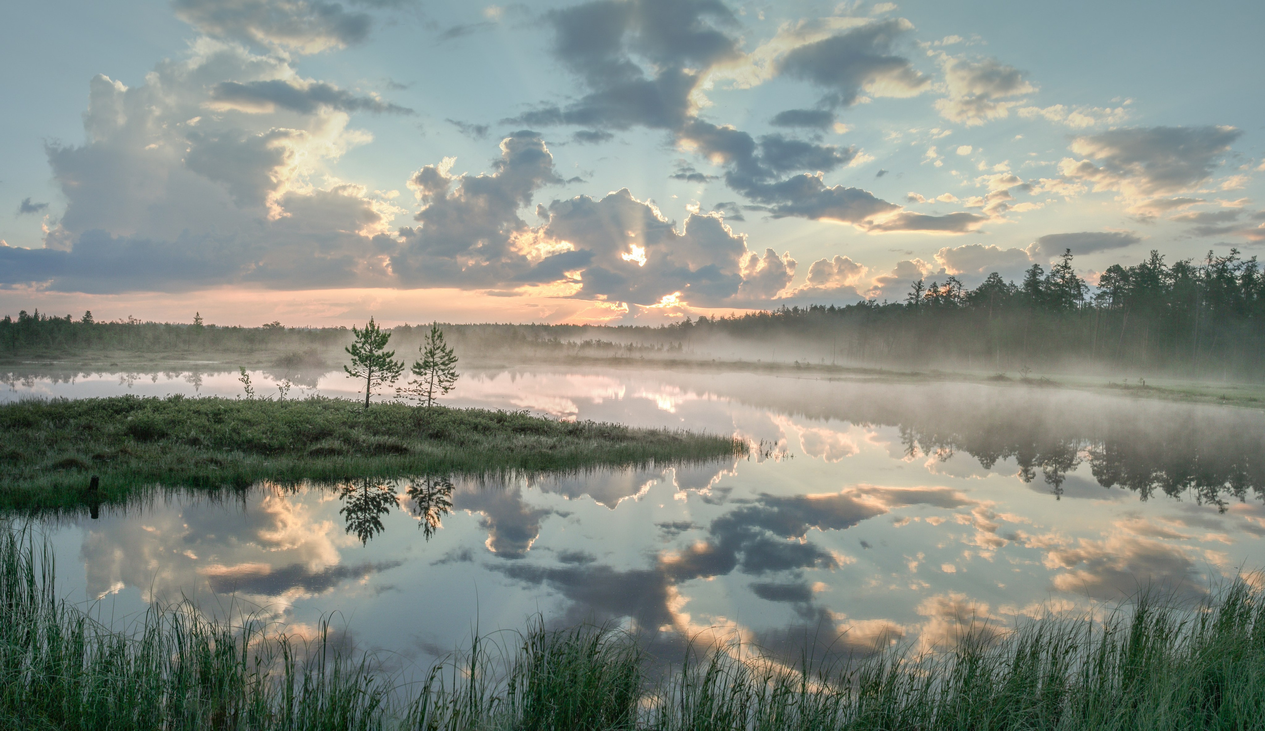 Портфолио. Фотограф Татьяна Борисова