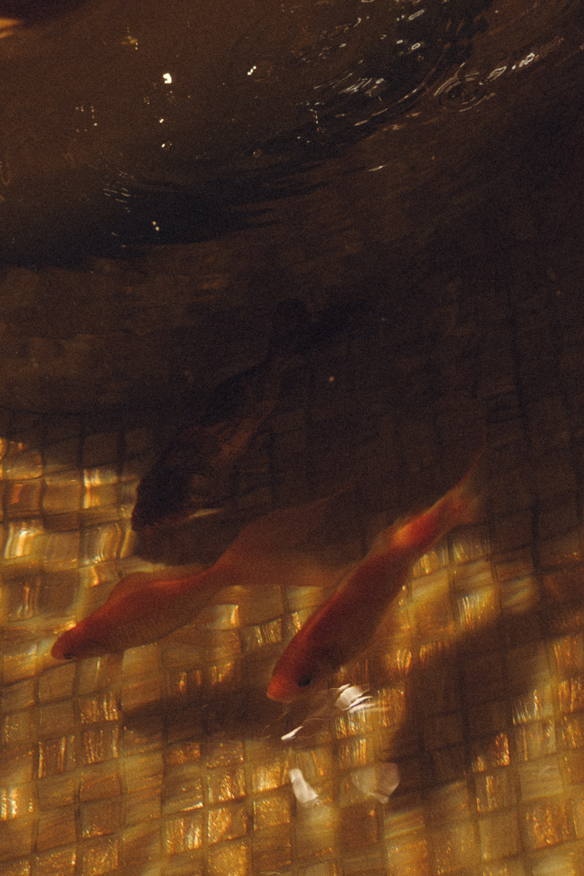 ТЕПЛО. Свадебный фотограф в Москве Александр Рыжков