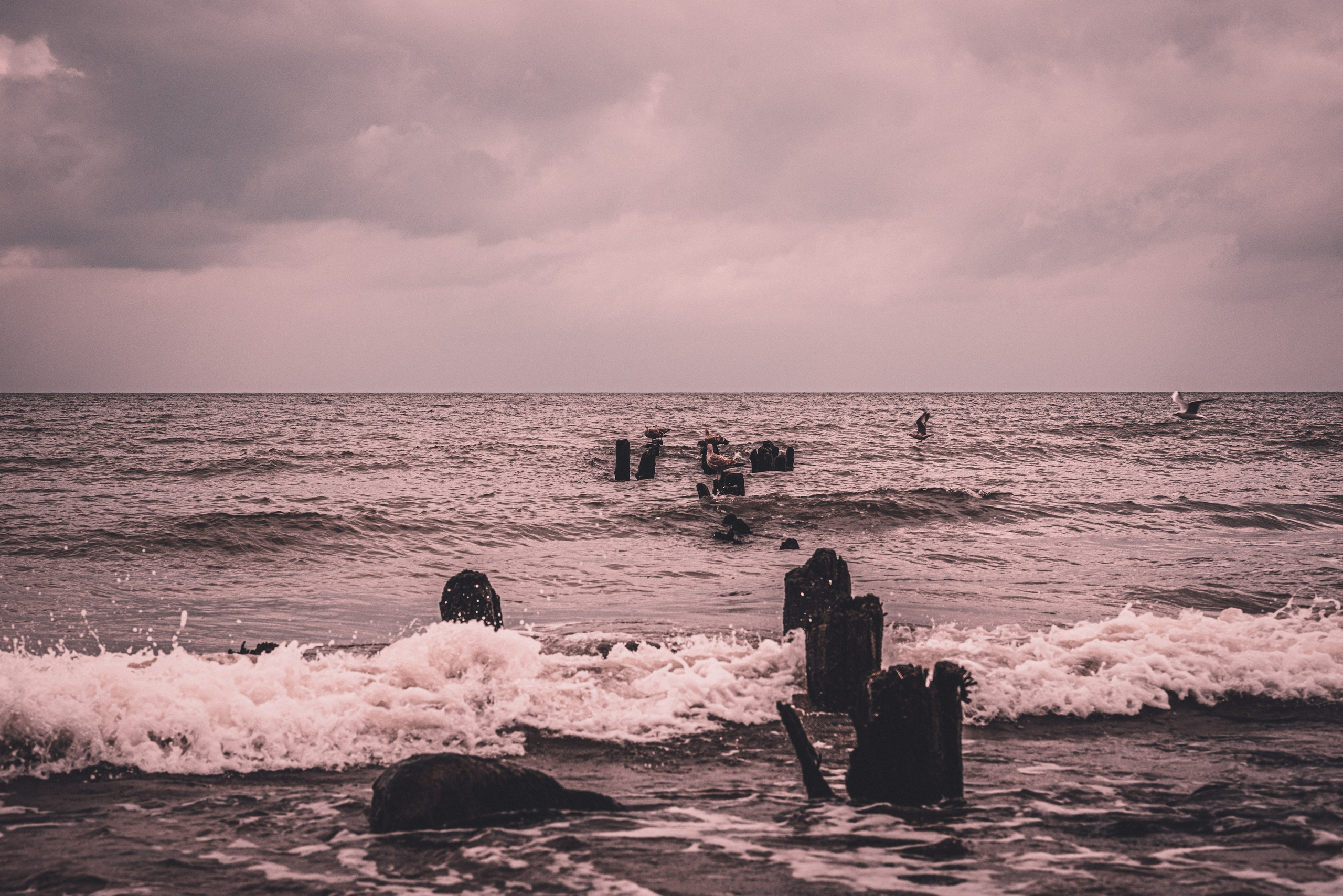 Калининград и его область: через объектив рекламного фотографа из Гуанчжо. Коммерческий и предметный фотограф в Гуанчжоу Коваленко Александр