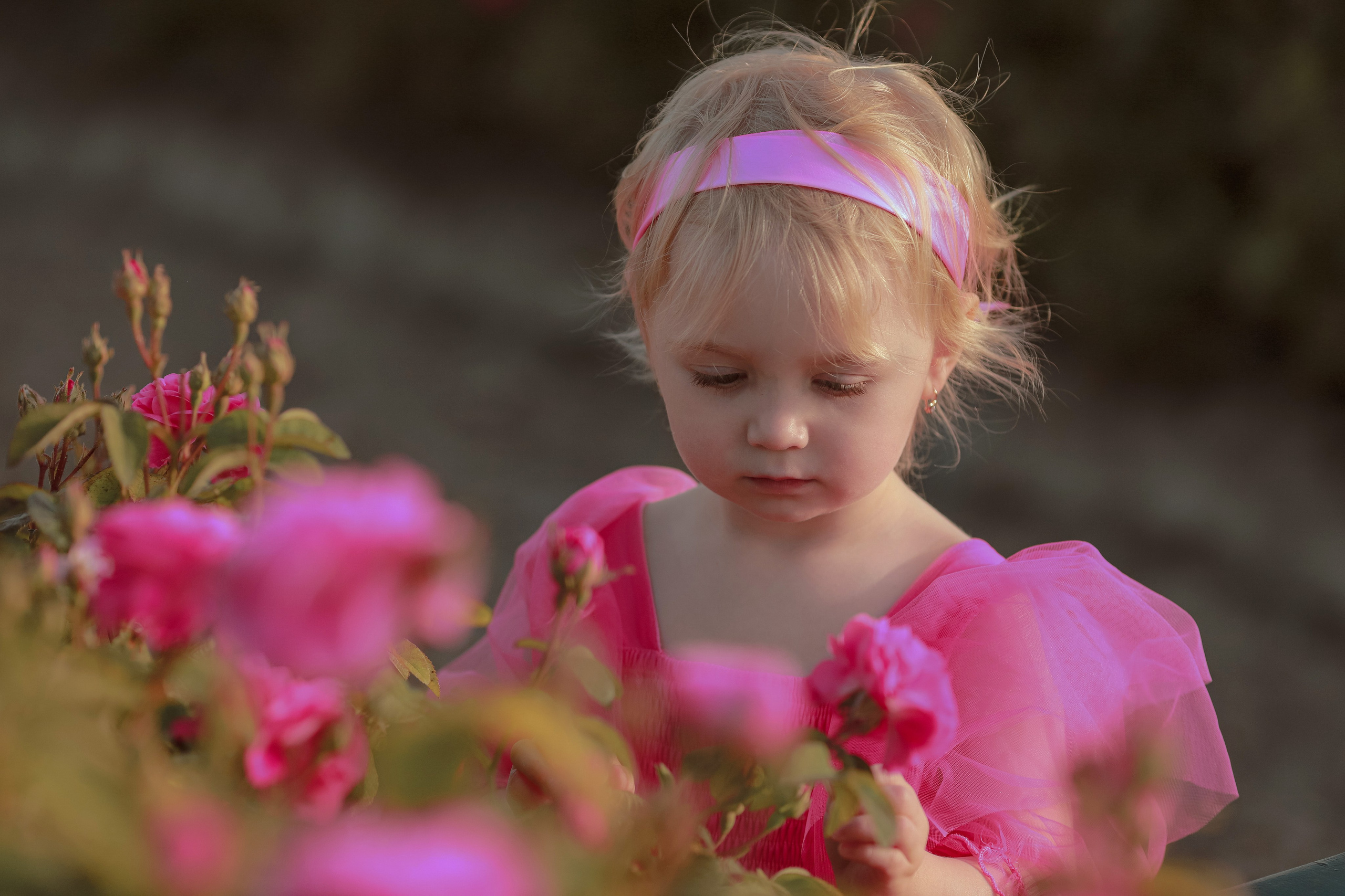 РОЗЫ. Семейный и детский фотограф в Крыму Екатерина Швец