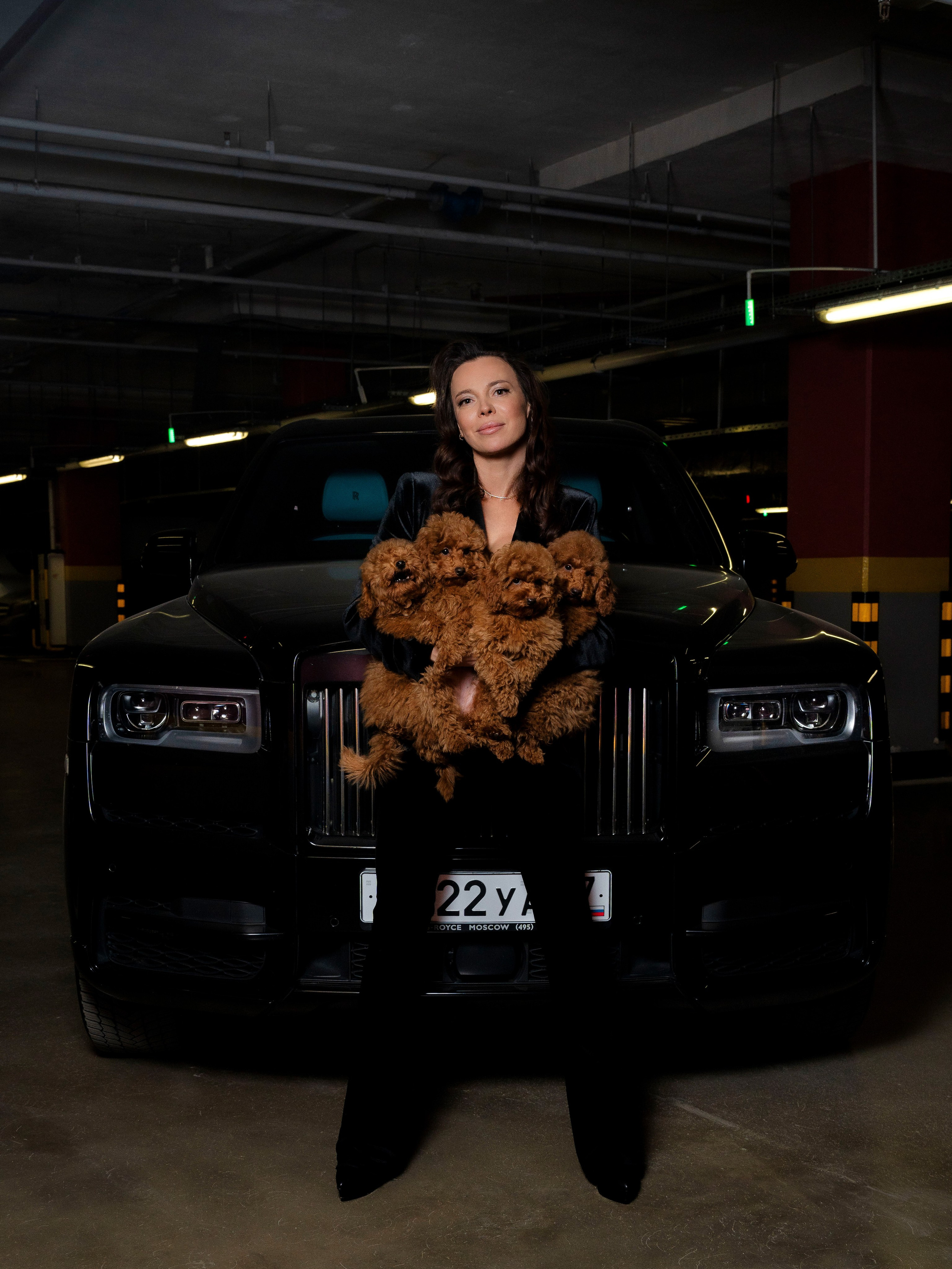 Rols Dogs. Портретный фотограф Москва Белогорцев Сергей