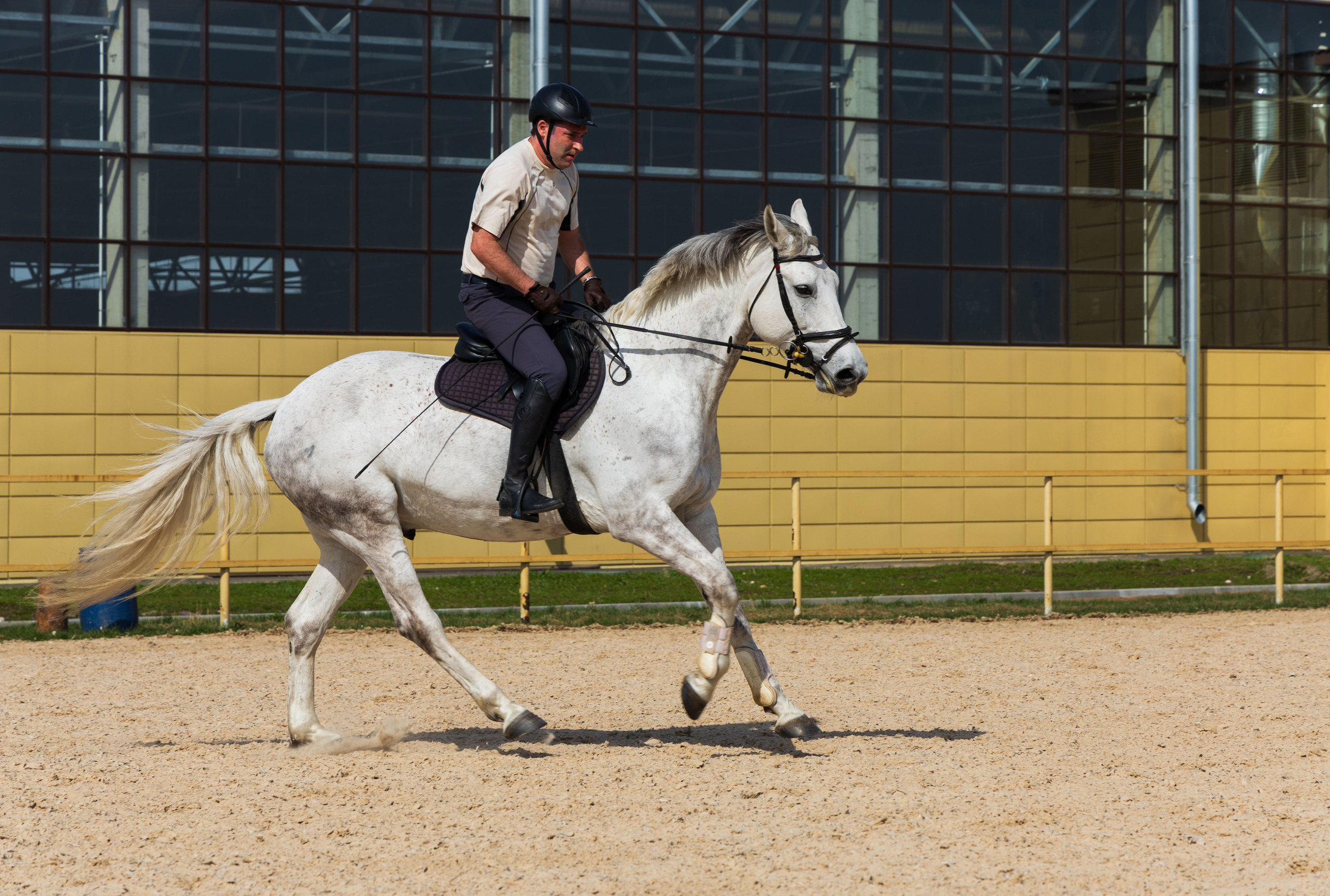 Репортаж.Конная тренировка. Портретный и семейный фотограф Санкт-Петербург