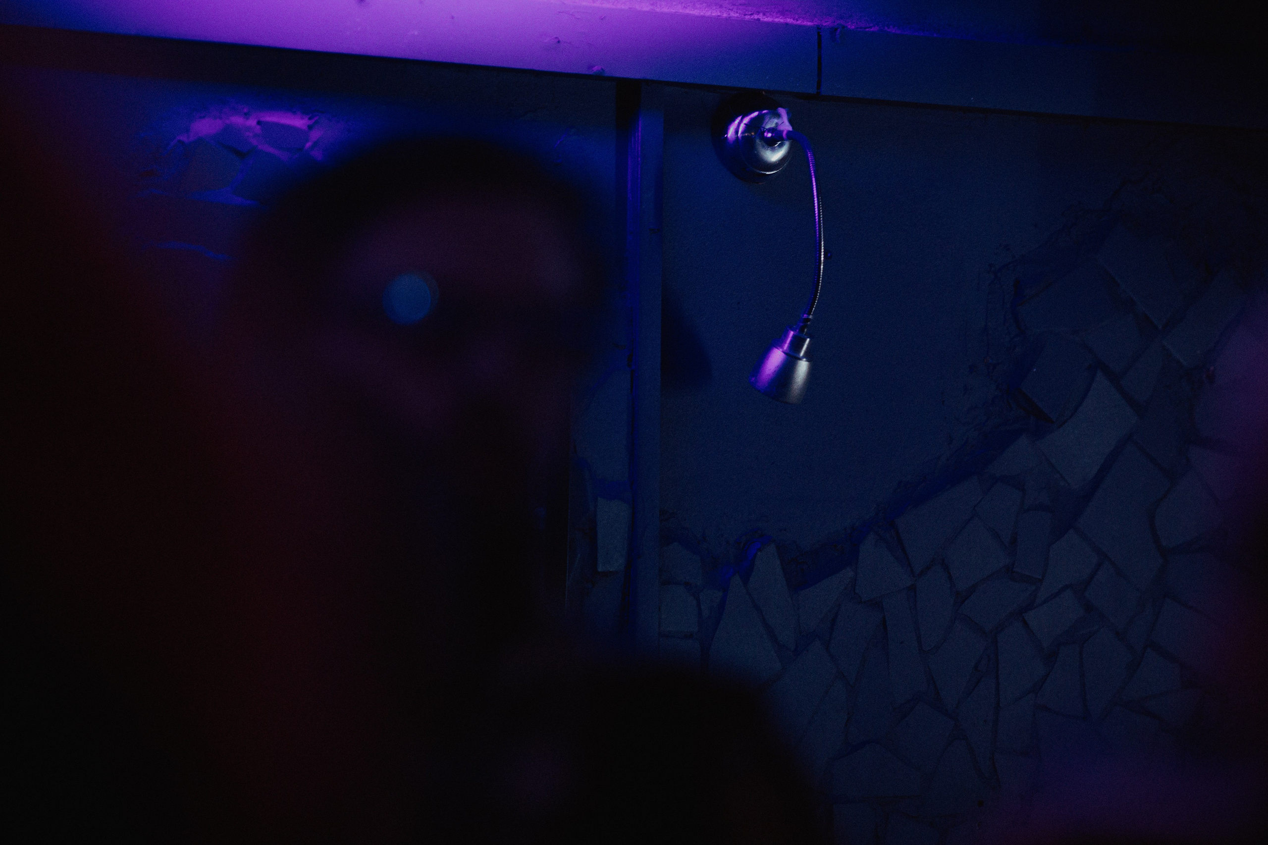 ФИРМЕННЫЙ ФЕСТ. Фотограф Елена Богачева (lenalena_na_na_na)