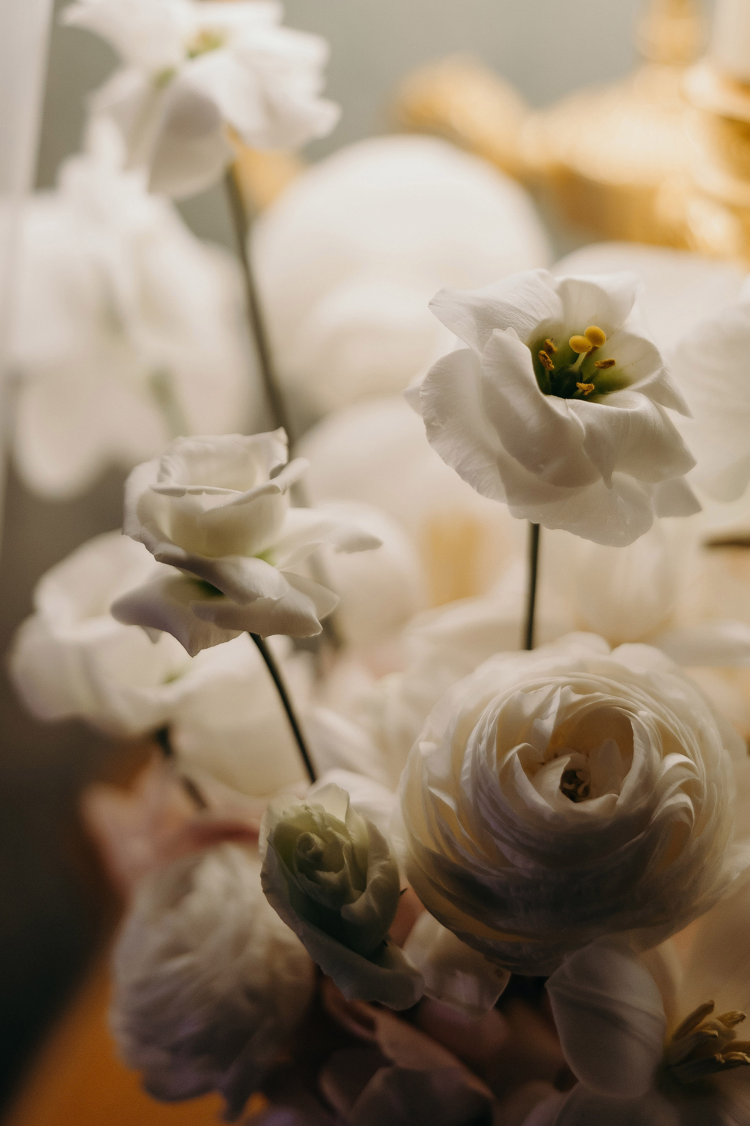 Wedding day 24.11.24. Свадебный фотограф в Санкт-Петербурге