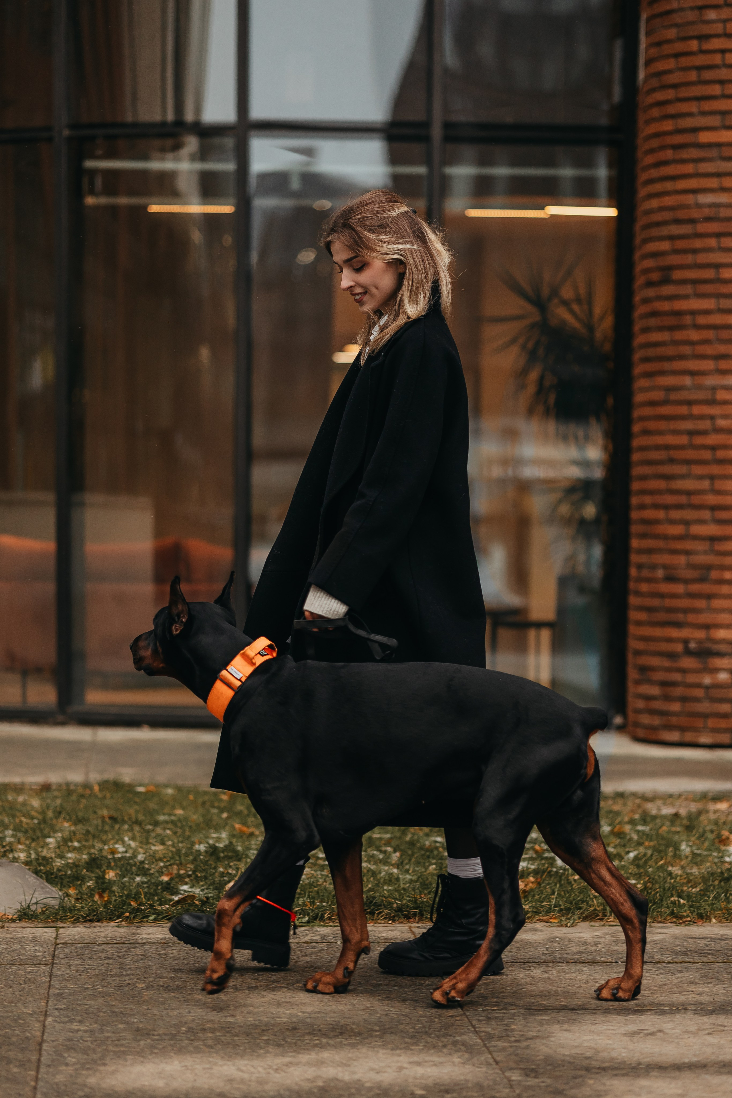 Дари и Гранд. Фотограф-анималист в Санкт-Петербурге Алина Яхонт