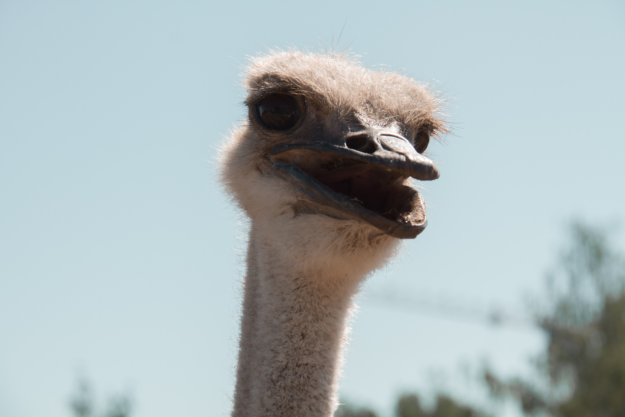 Семейная съёмка в Петергофе. Свадебный, семейный и контент фотограф в Санкт- Петербурге Елена Грие