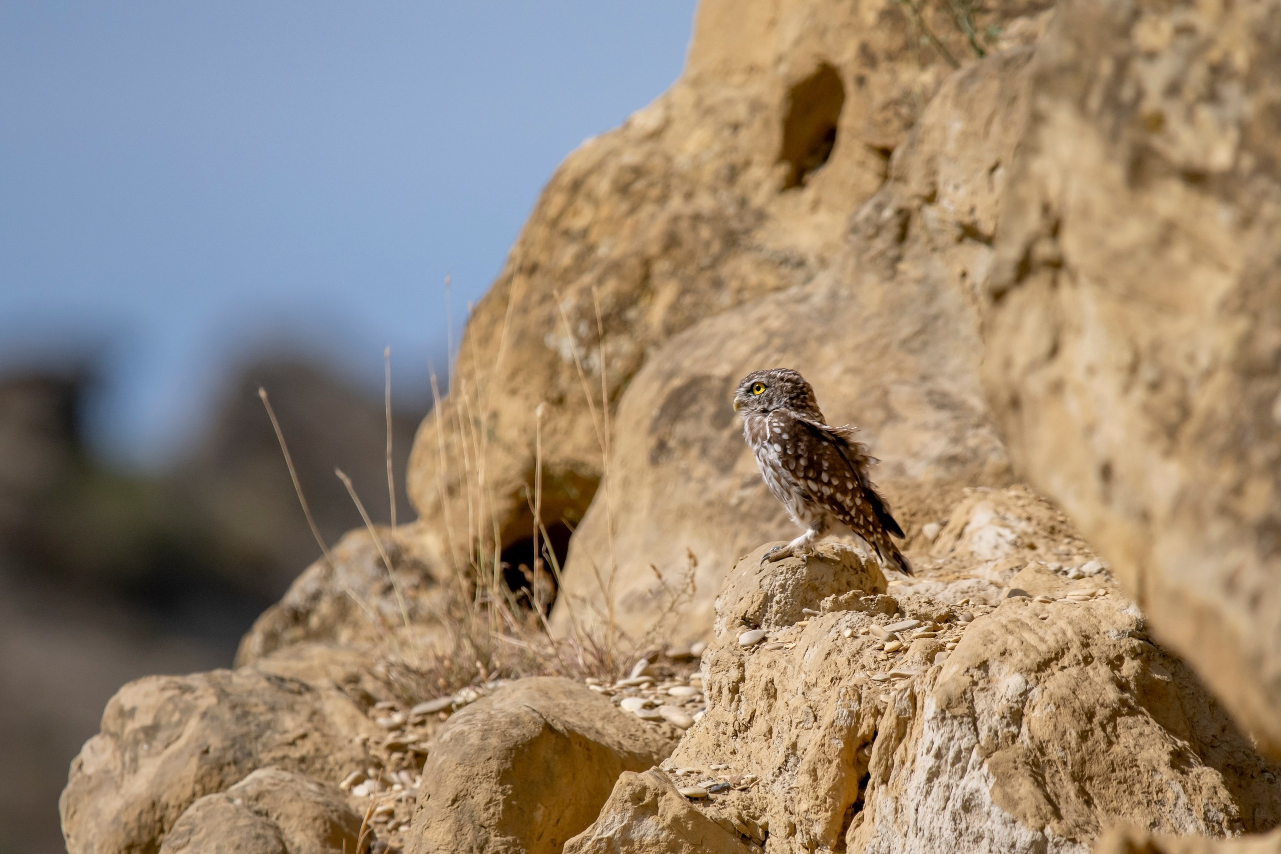 Природа Дагестана, сентябрь 2024. Foto-Zuev фотография как искусство